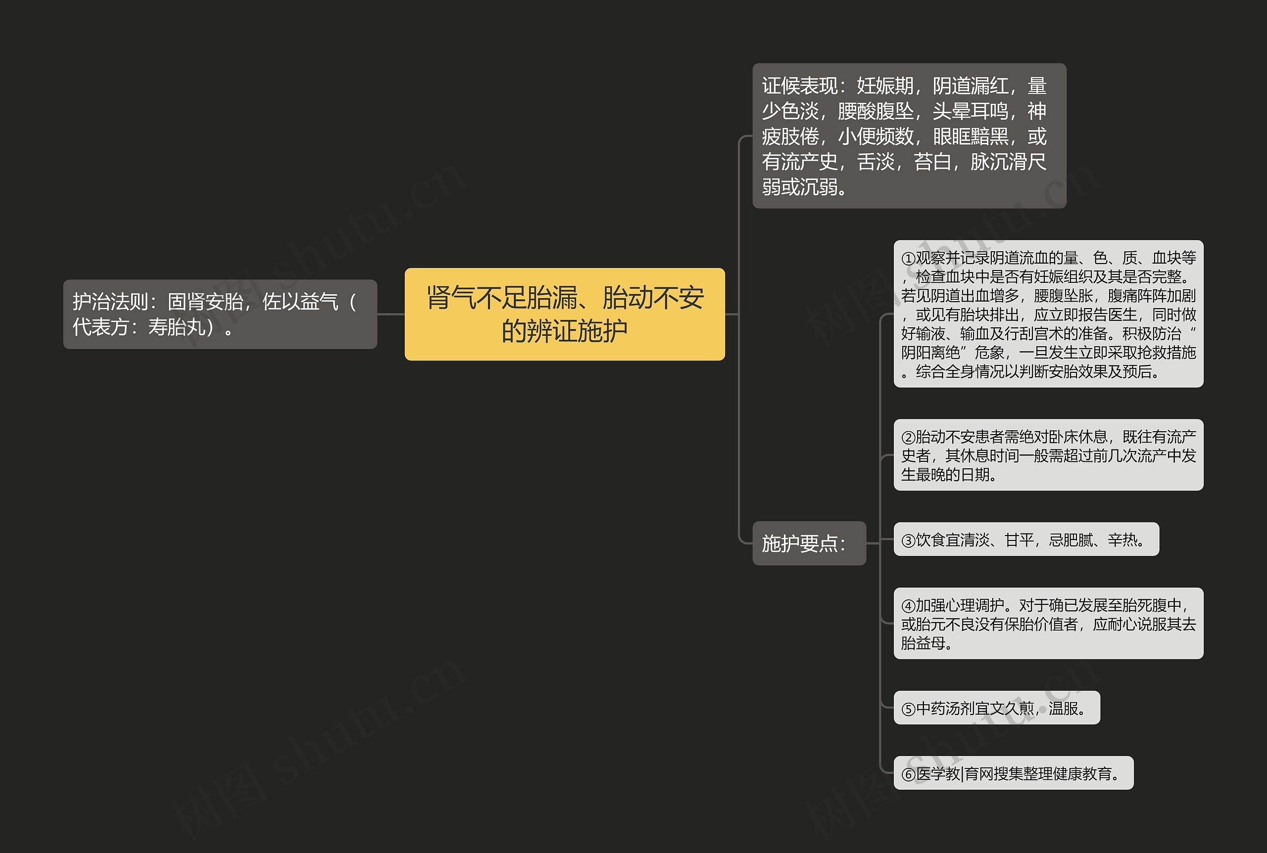 肾气不足胎漏、胎动不安的辨证施护思维导图