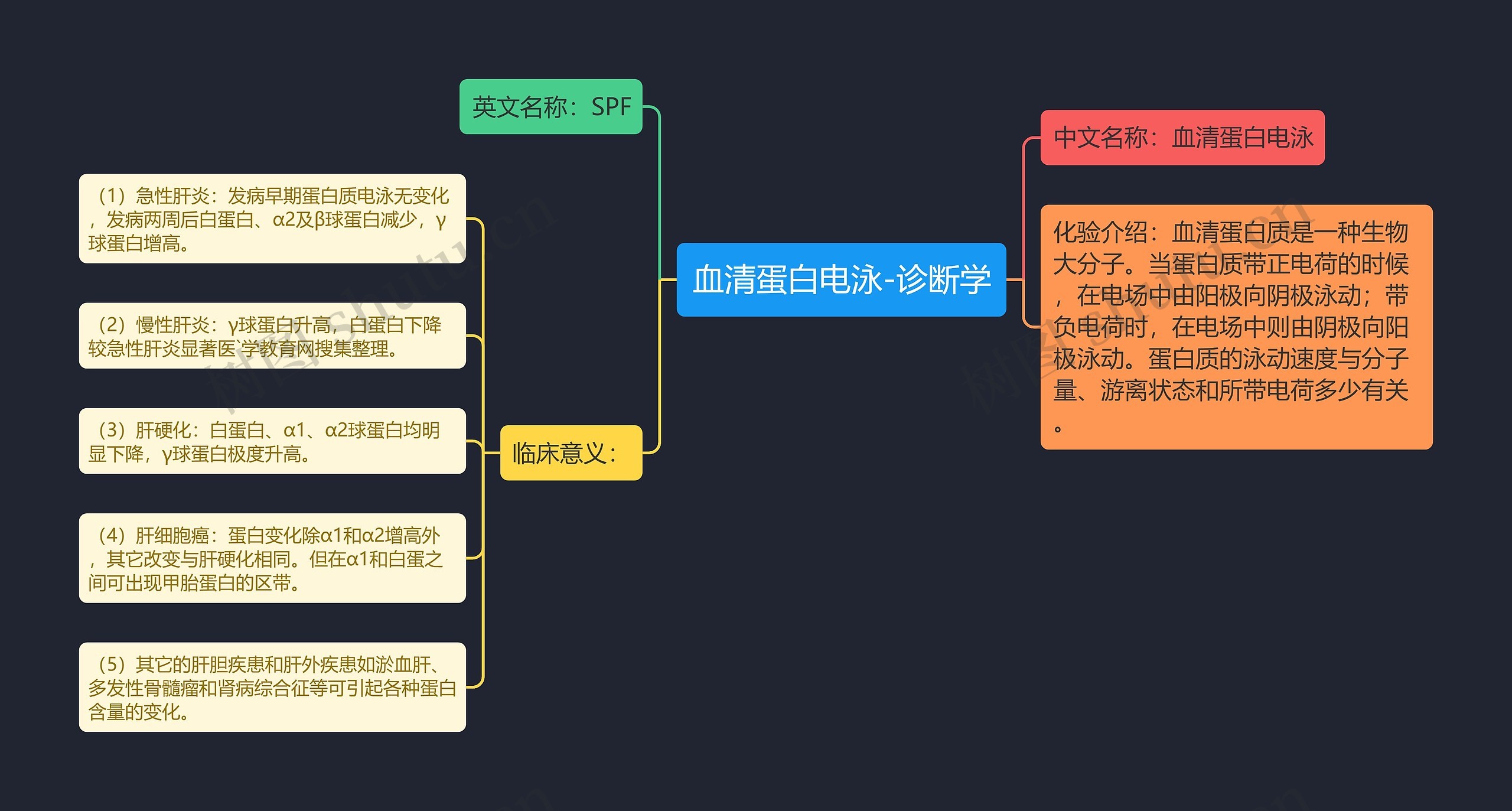 血清蛋白电泳-诊断学思维导图