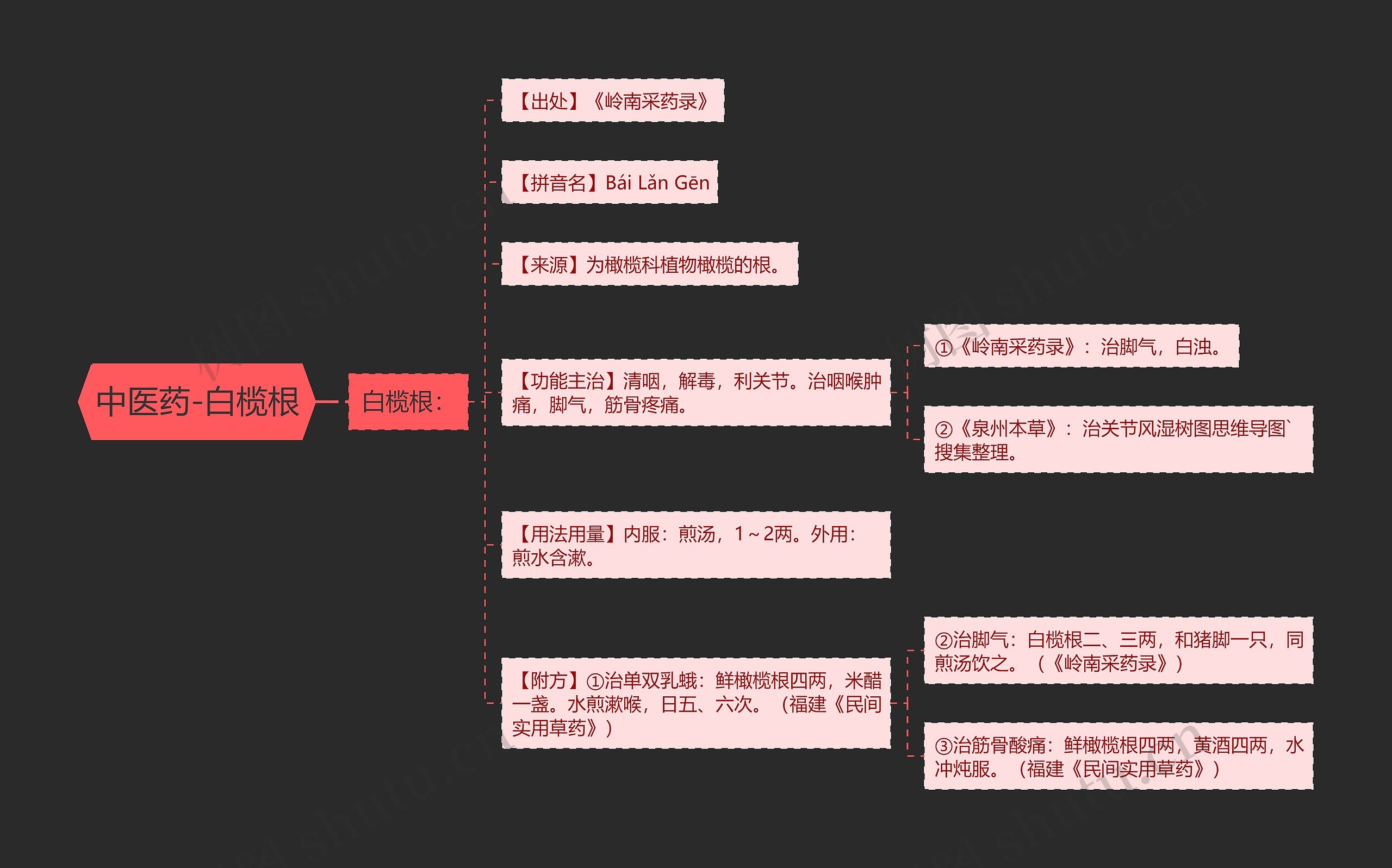 中医药-白榄根思维导图