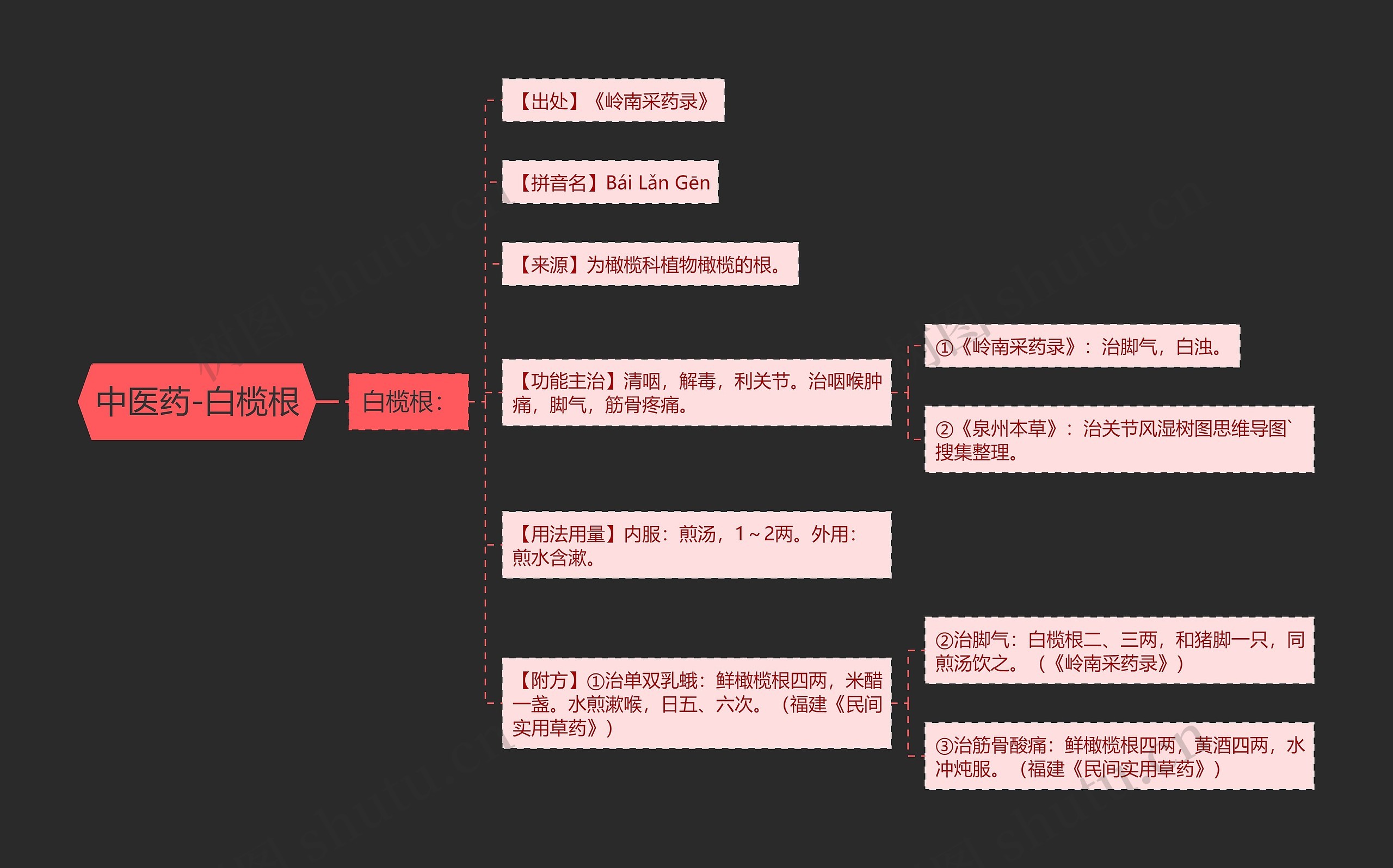中医药-白榄根 中医药-白榄根