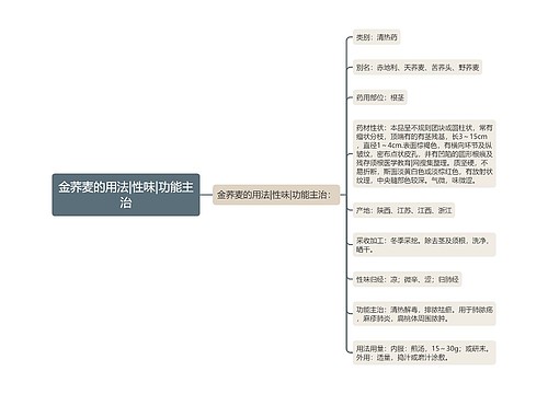 金荞麦的用法|性味|功能主治