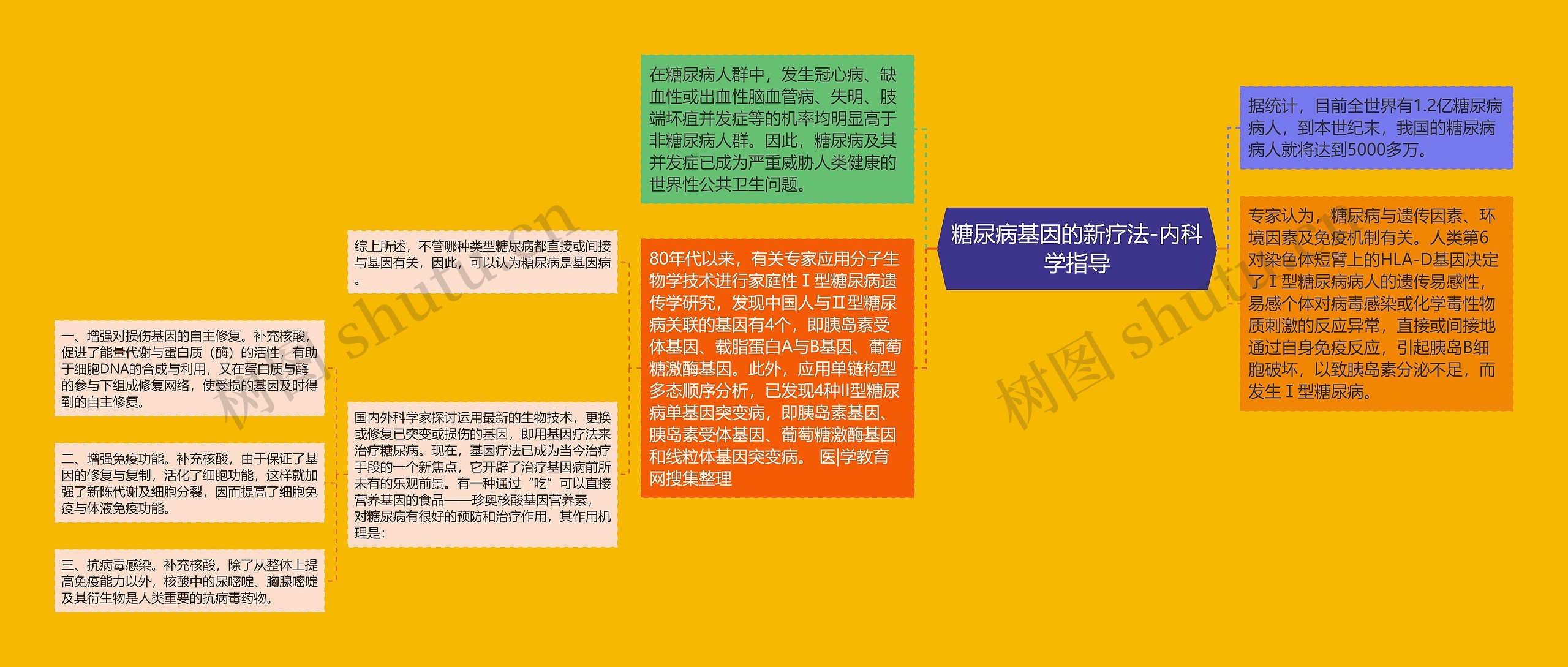糖尿病基因的新疗法-内科学指导 糖尿病基因的新疗法-内科学指导