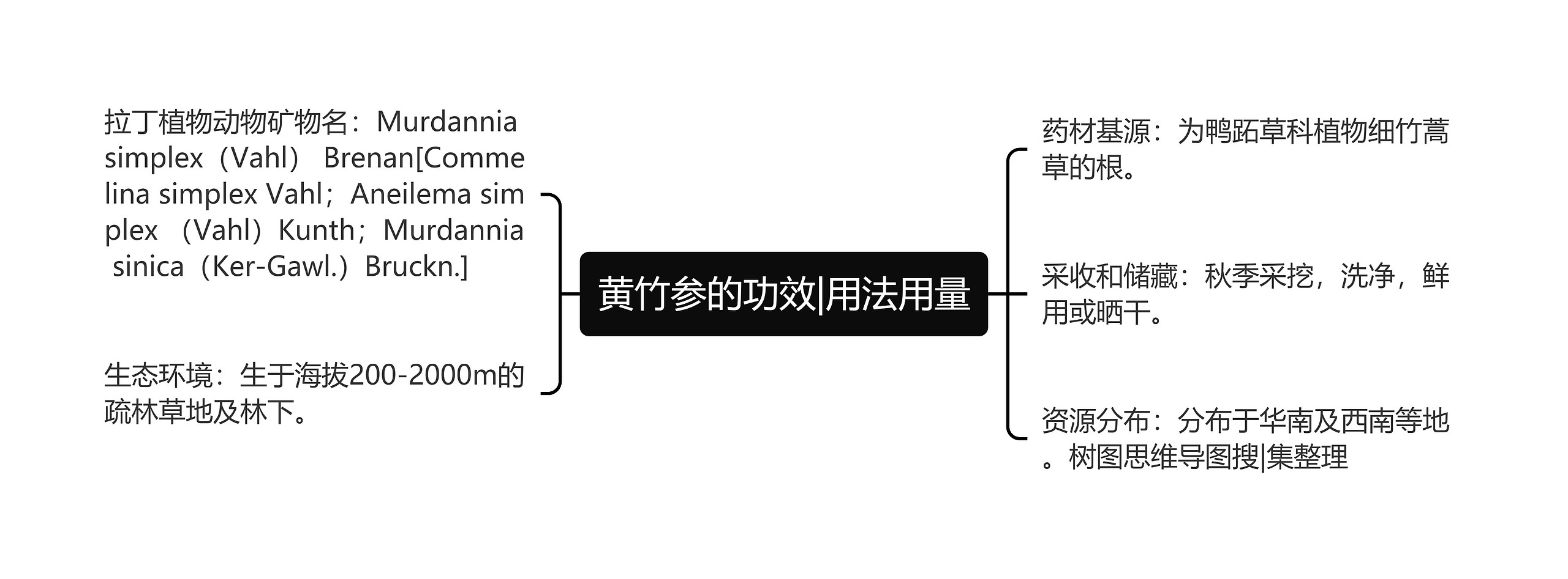 黄竹参的功效|用法用量