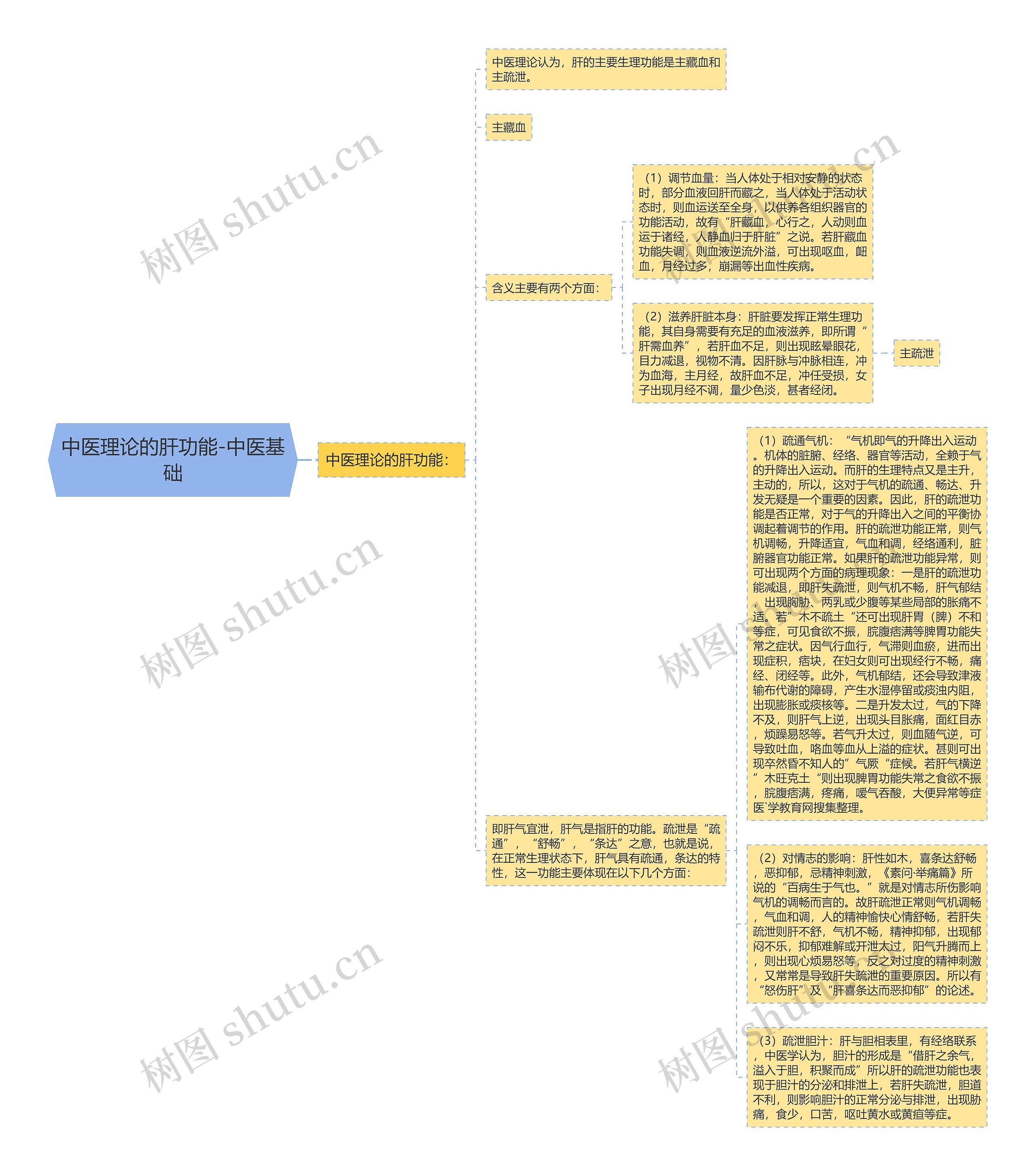 中医理论的肝功能-中医基础思维导图