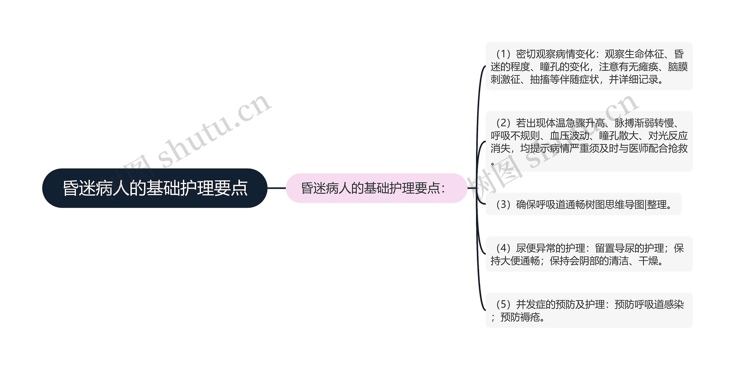 昏迷病人的基础护理要点思维导图