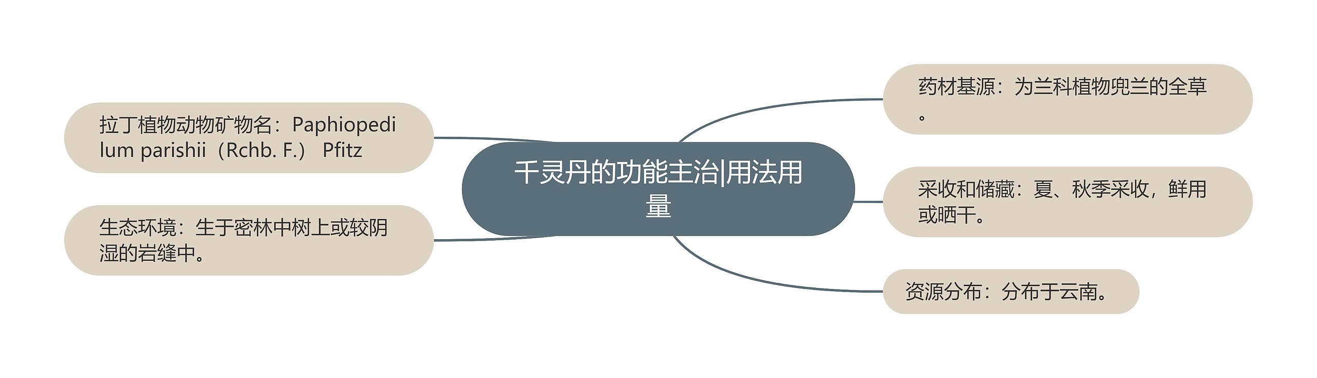 千灵丹的功能主治|用法用量 千灵丹的功能主治|用法用量