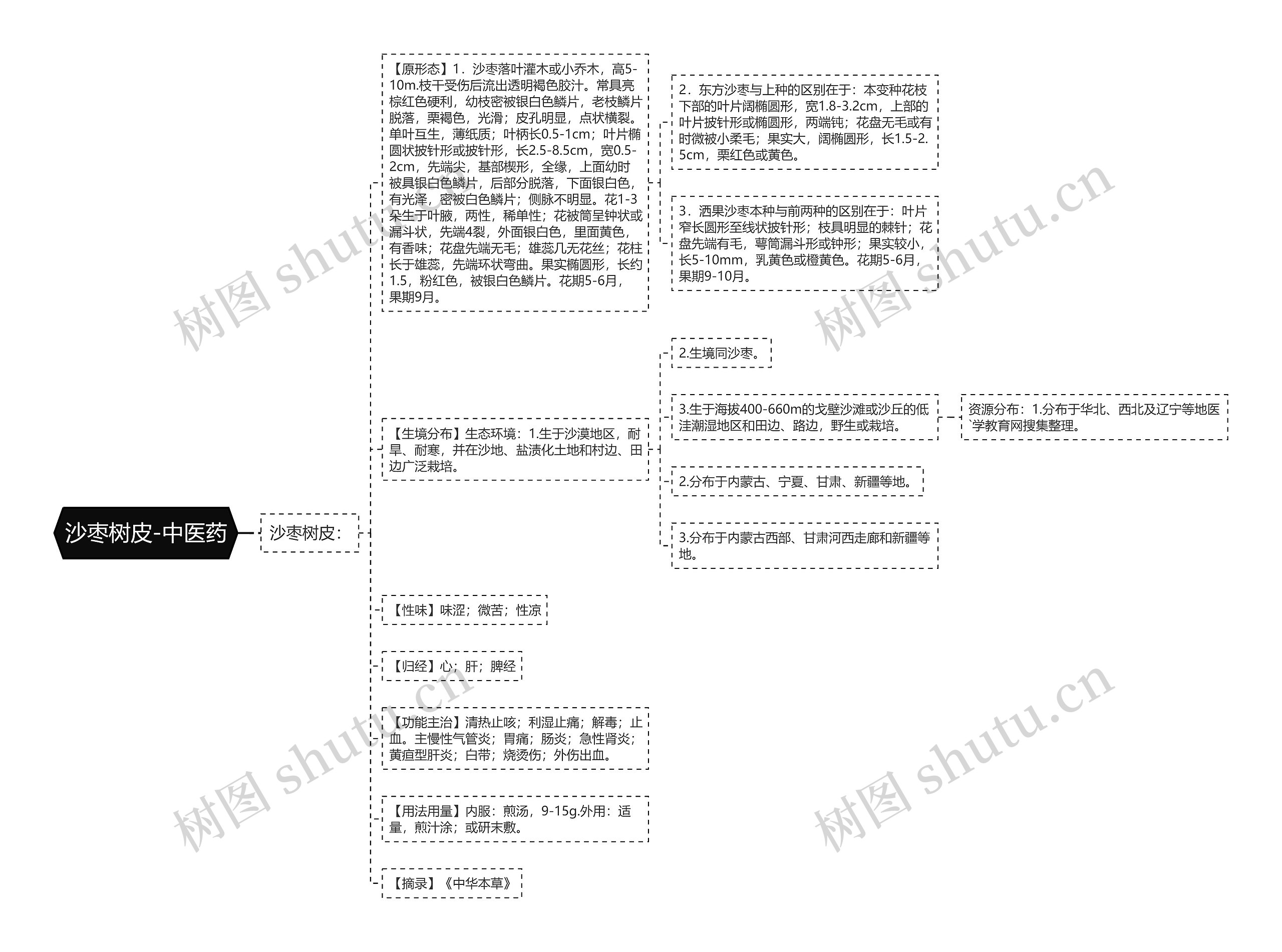 沙枣树皮-中医药思维导图