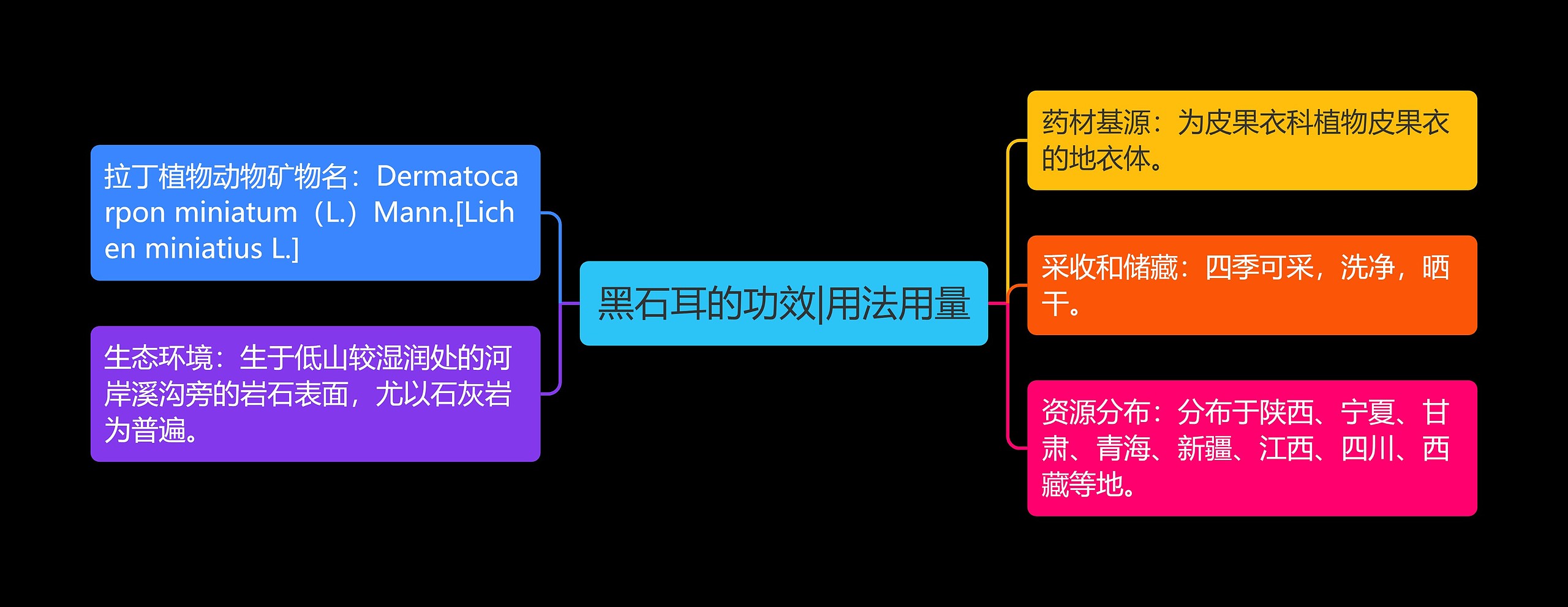 黑石耳的功效|用法用量思维导图