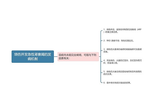 烧伤并发急性肾衰竭的发病机制