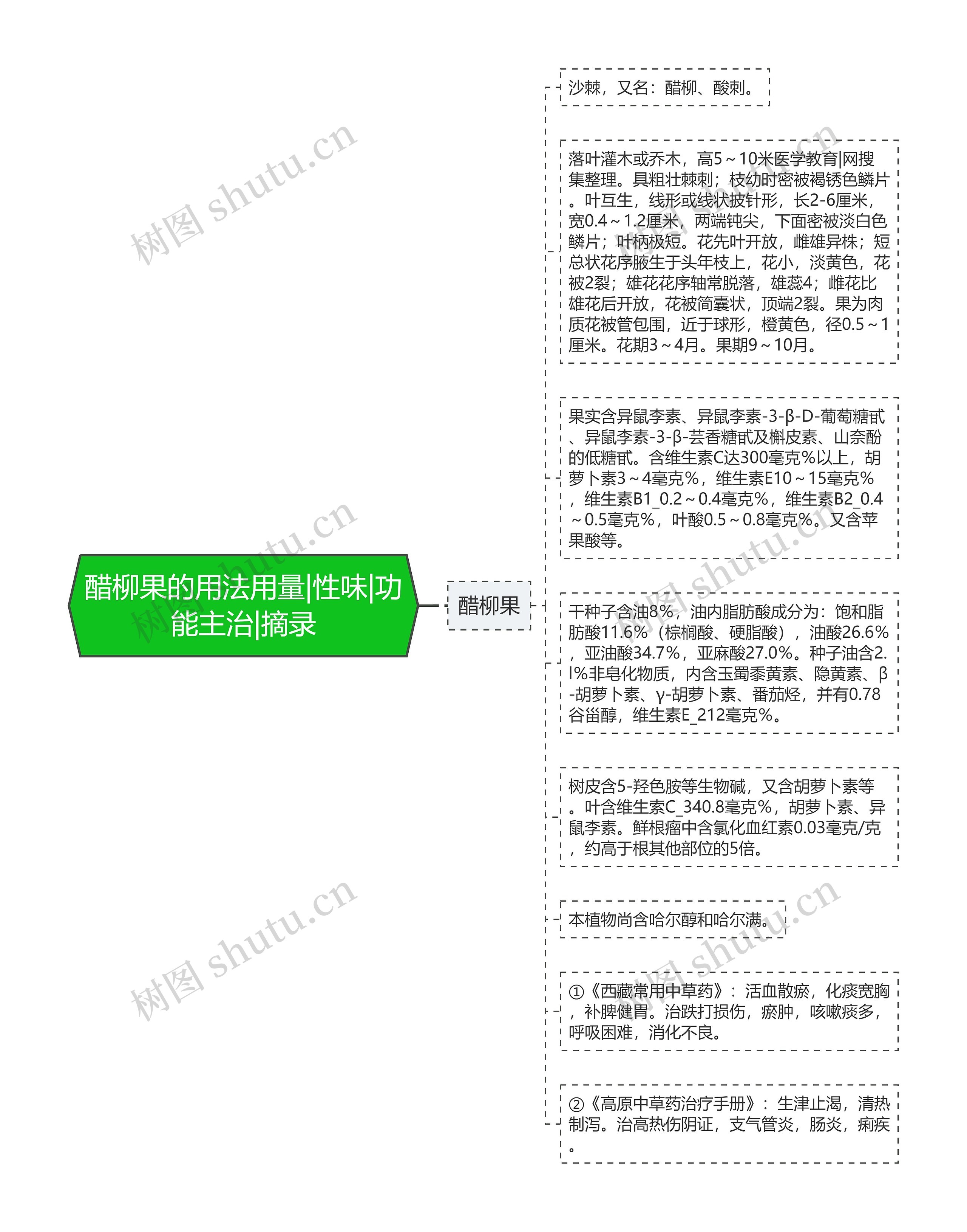 醋柳果的用法用量|性味|功能主治|摘录思维导图