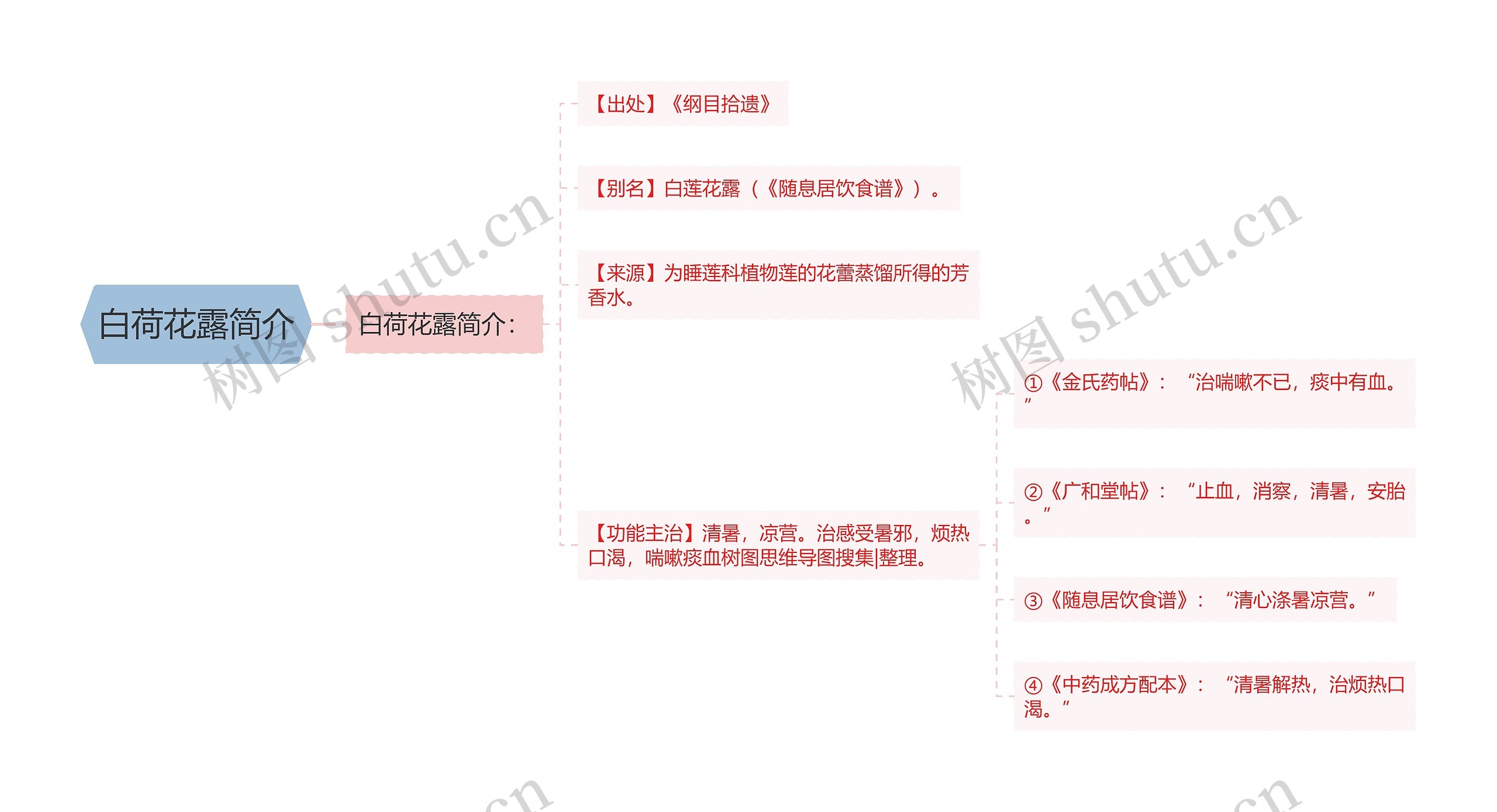 白荷花露简介思维导图