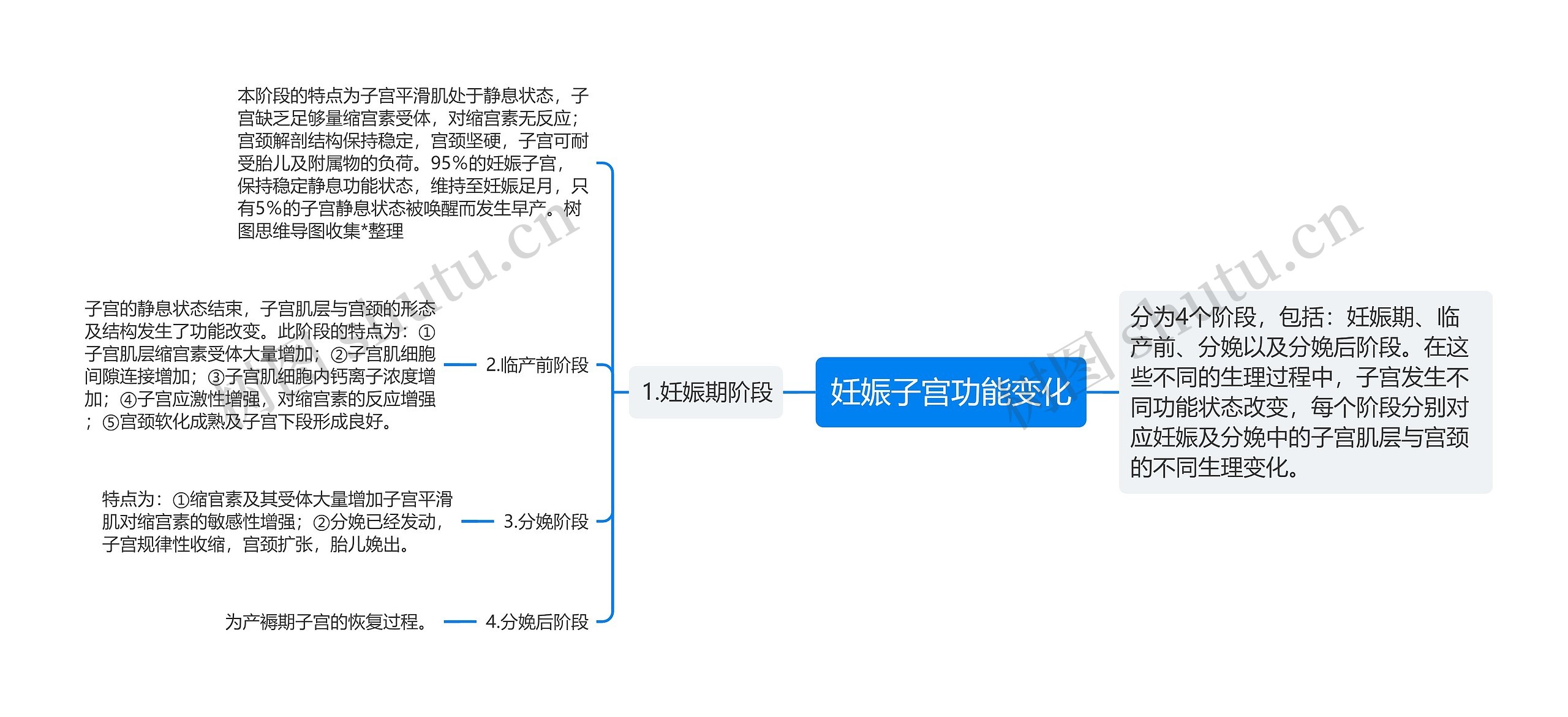 妊娠子宫功能变化思维导图