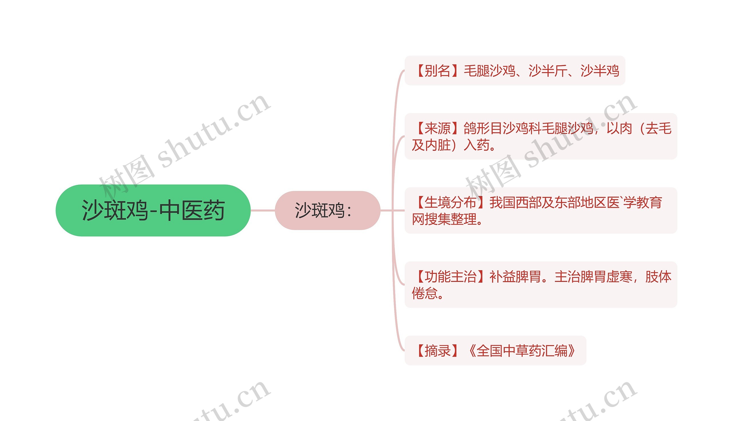 沙斑鸡-中医药思维导图