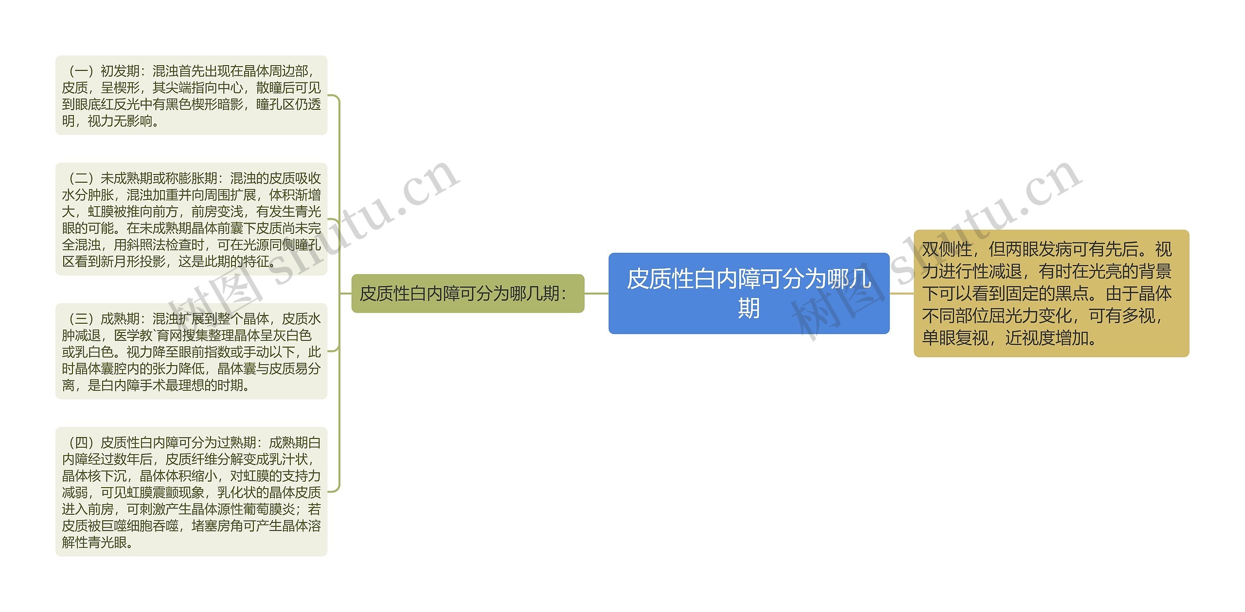 皮质性白内障可分为哪几期思维导图