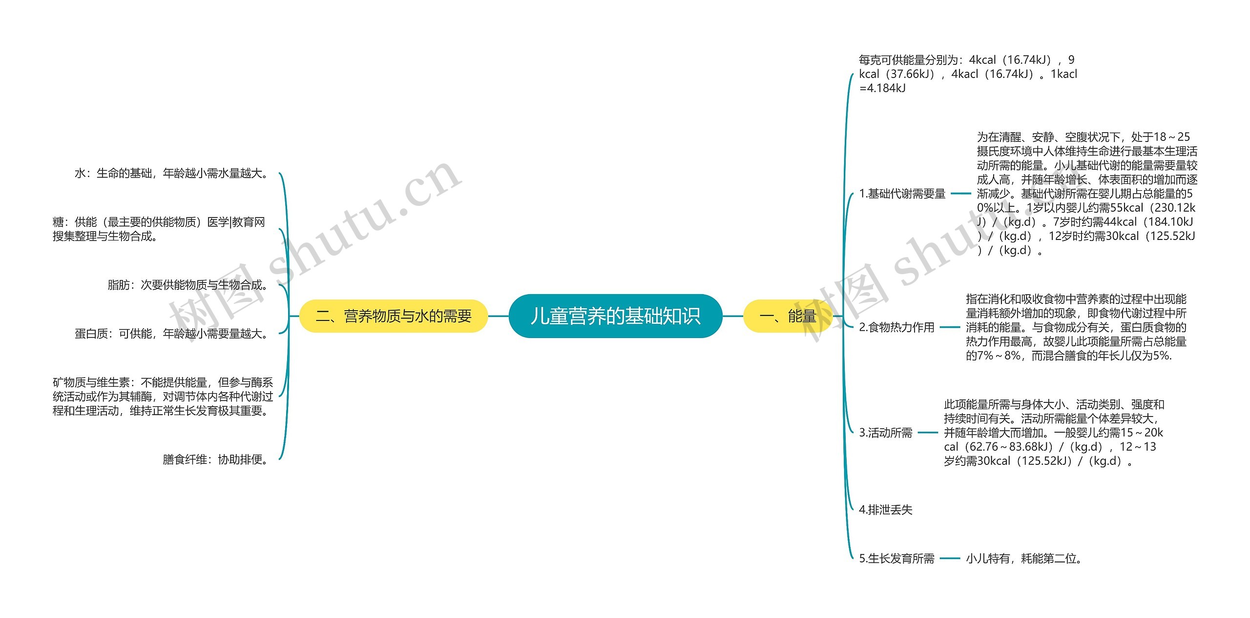 儿童营养的基础知识思维导图