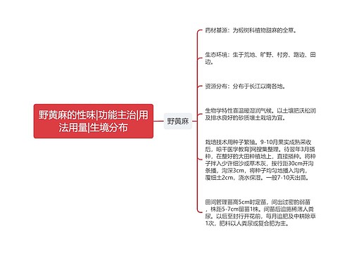 野黄麻的性味|功能主治|用法用量|生境分布