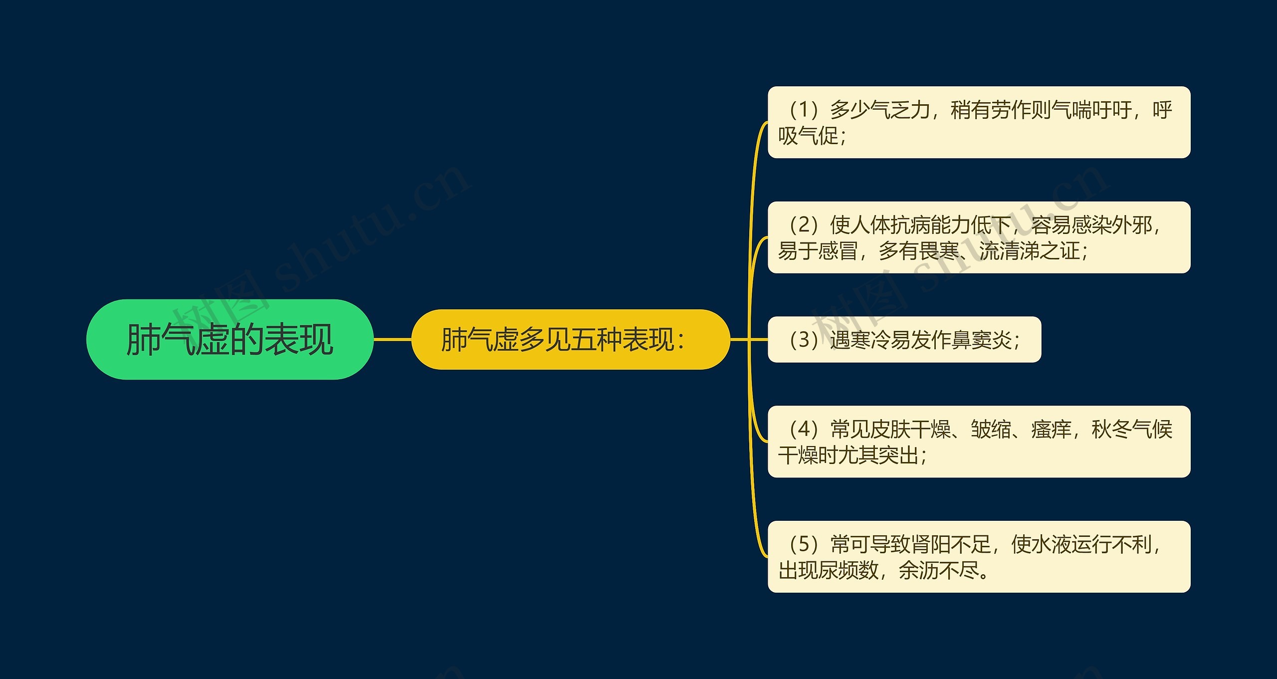 肺气虚的表现 肺气虚的表现