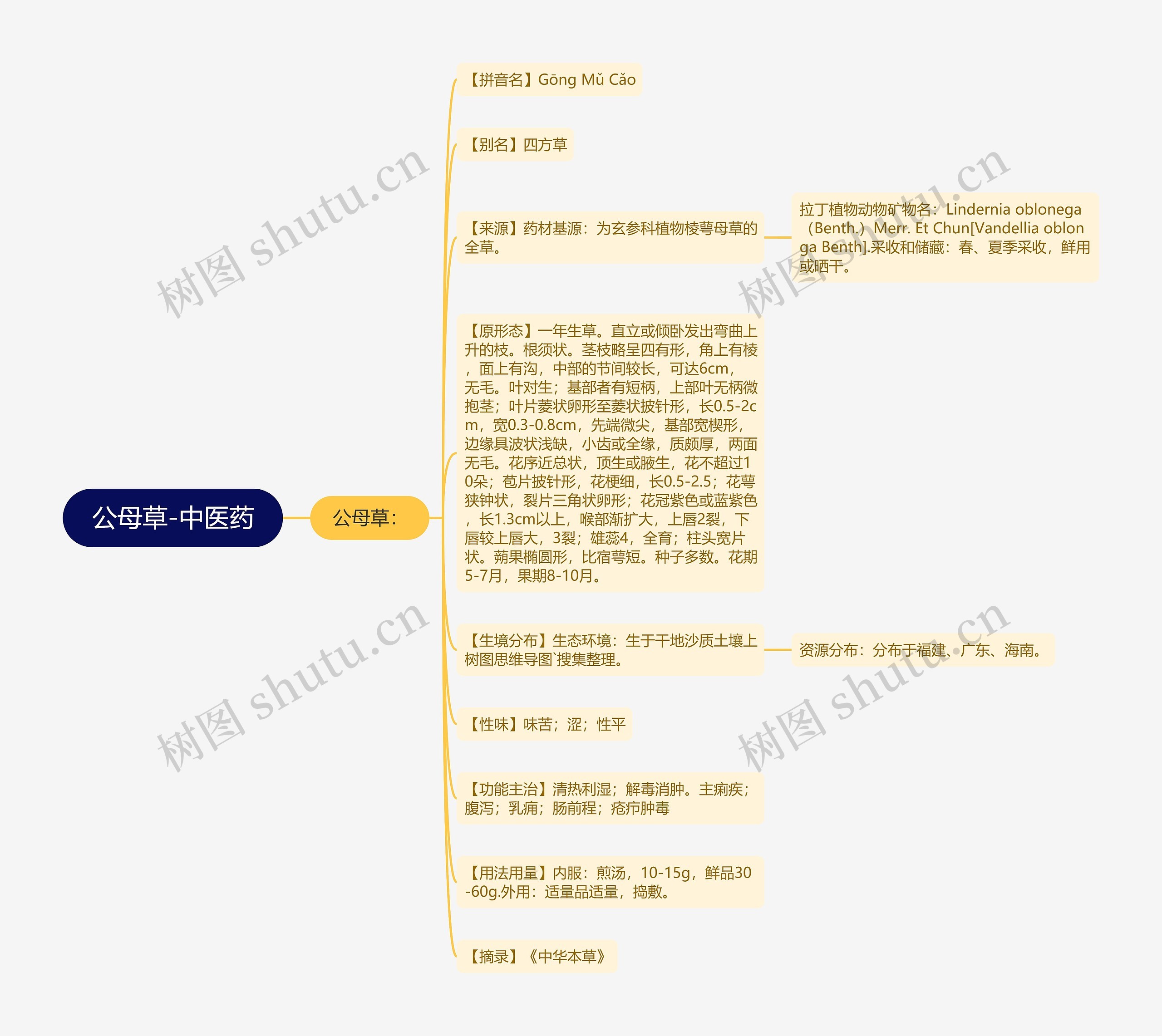 公母草-中医药思维导图