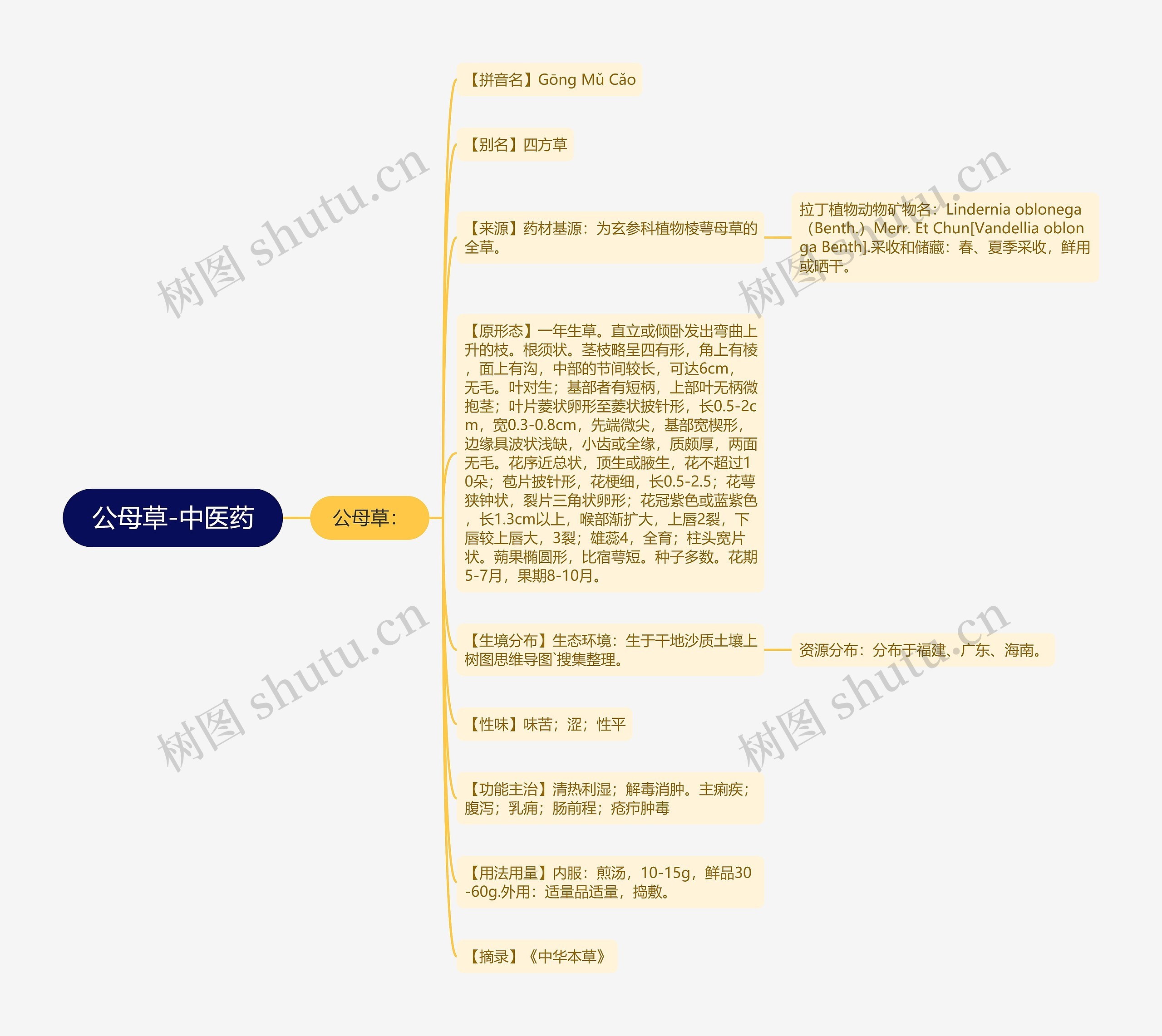 公母草-中医药 公母草-中医药