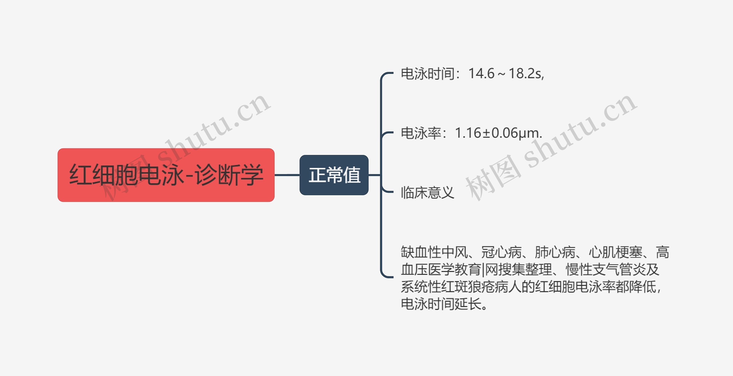 红细胞电泳-诊断学