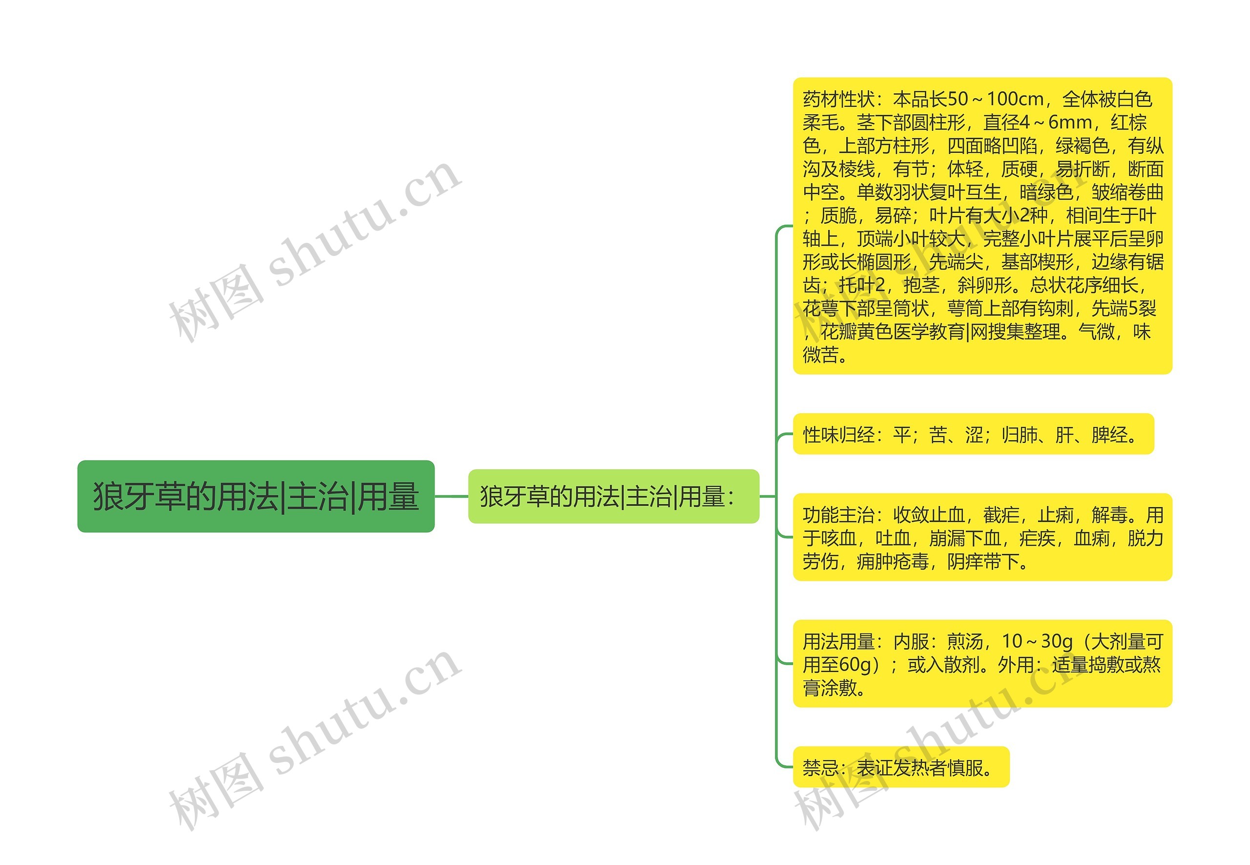 狼牙草的用法|主治|用量思维导图