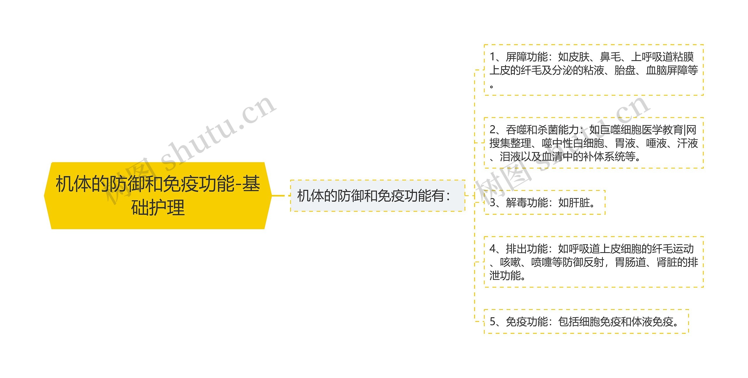 机体的防御和免疫功能-基础护理思维导图