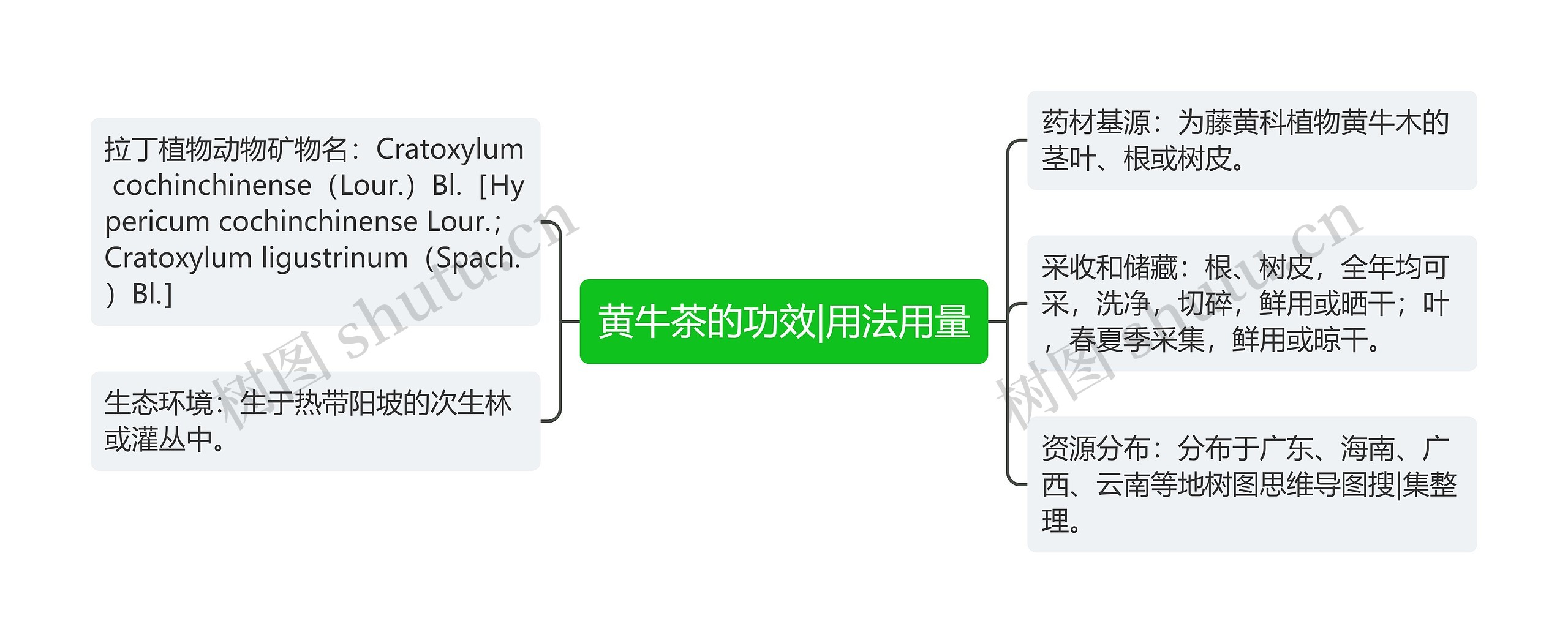 黄牛茶的功效|用法用量