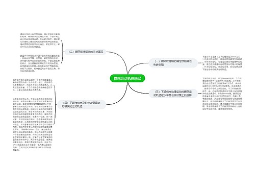 髁突运动轨迹描记