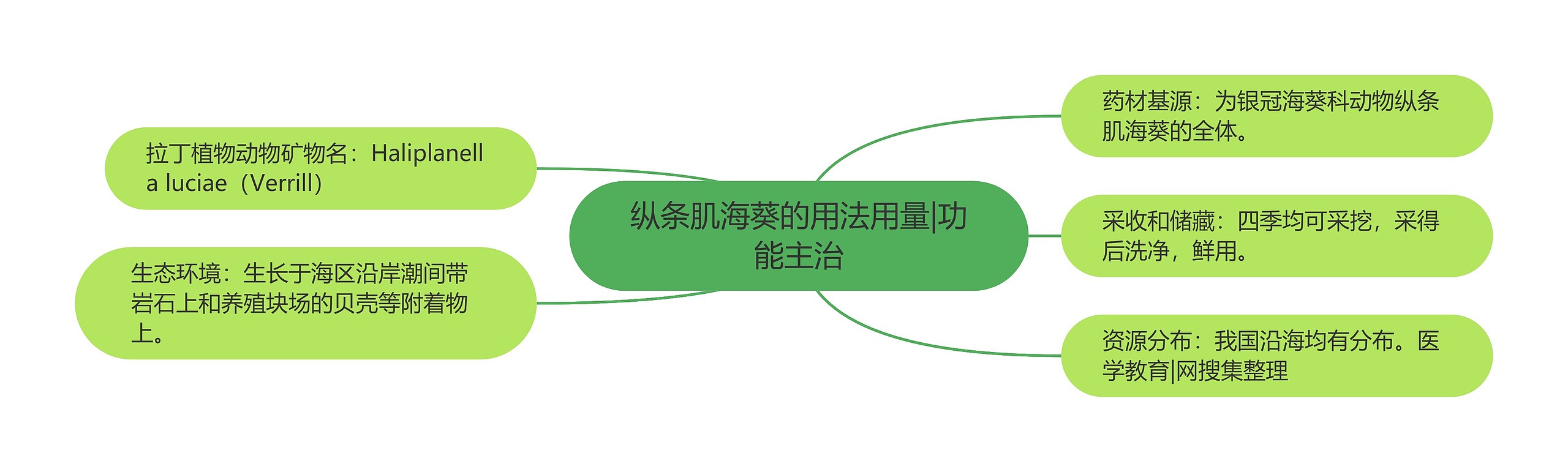 纵条肌海葵的用法用量|功能主治 纵条肌海葵的用法用量|功能主治