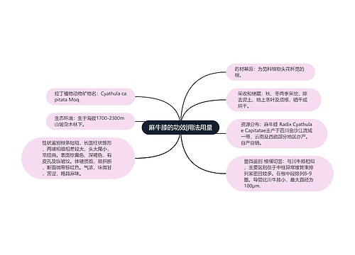 麻牛膝的功效|用法用量