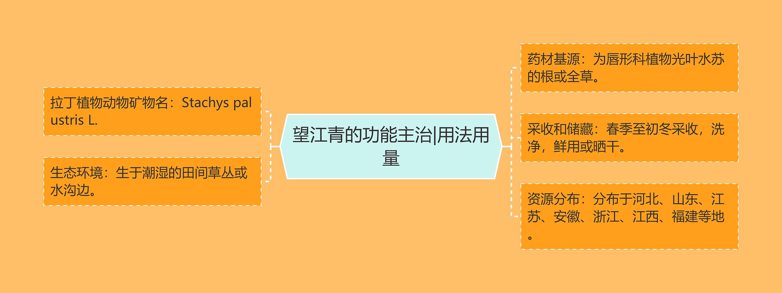 望江青的功能主治|用法用量