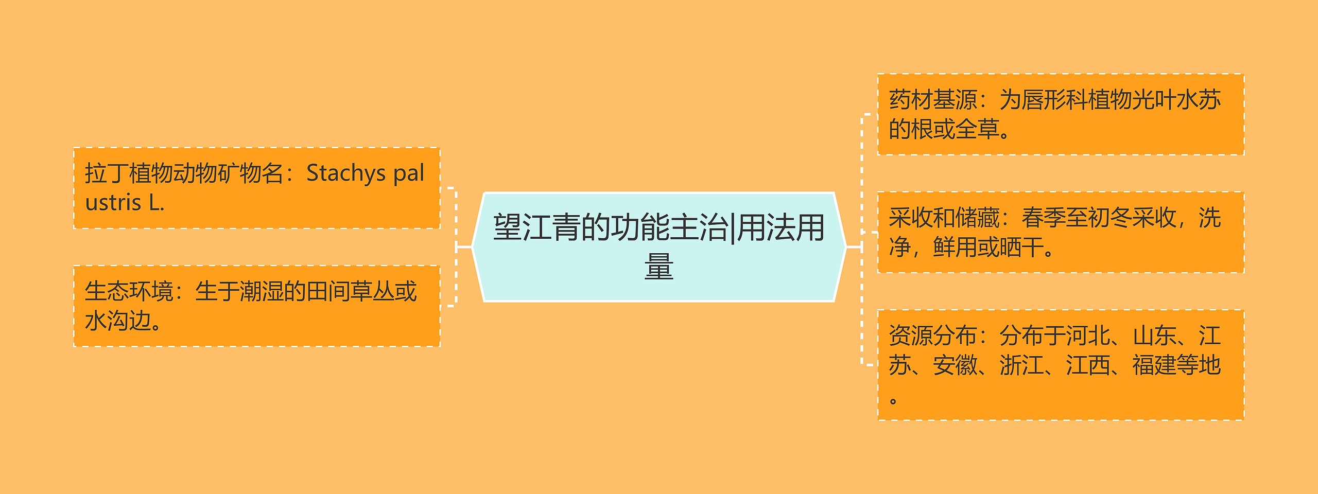 望江青的功能主治|用法用量思维导图