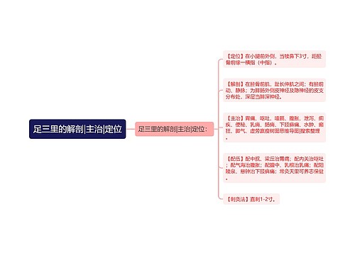 足三里的解剖|主治|定位