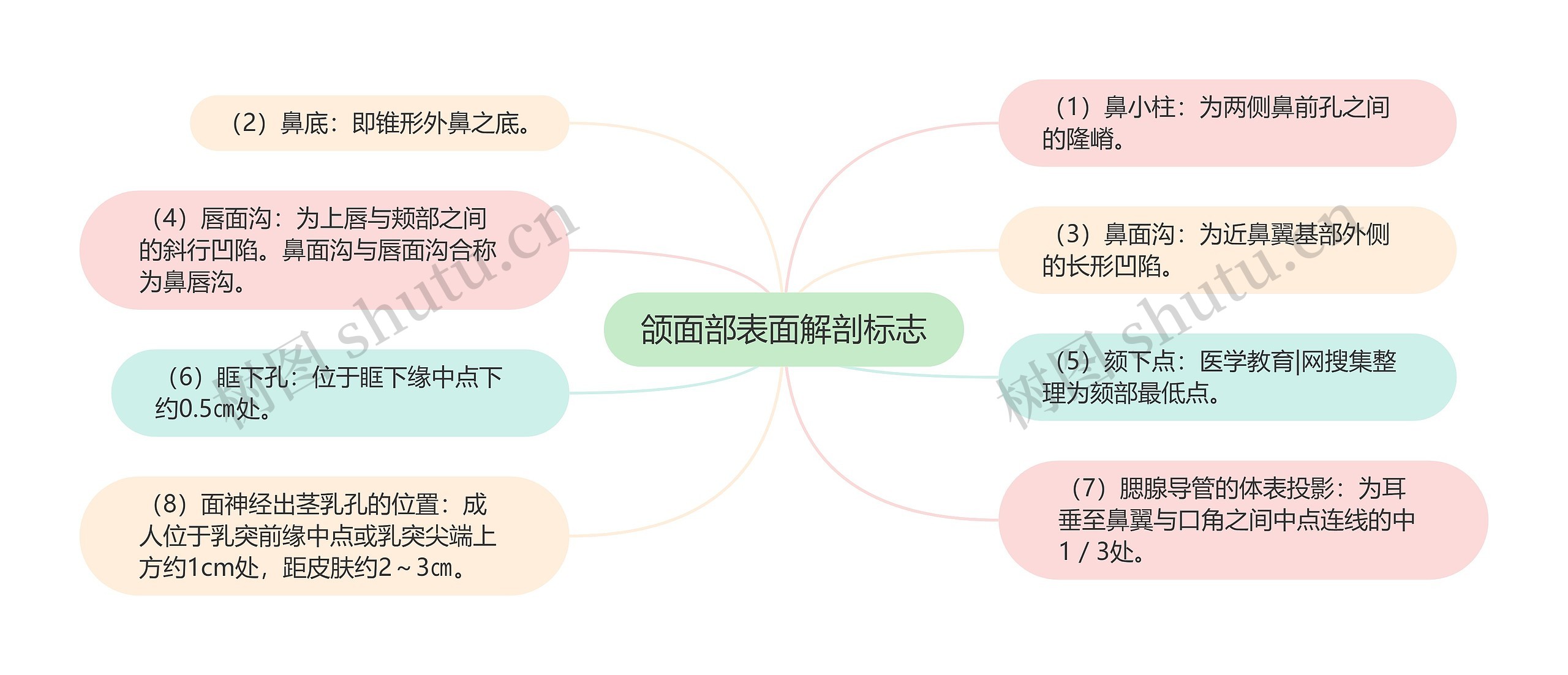 颌面部表面解剖标志思维导图