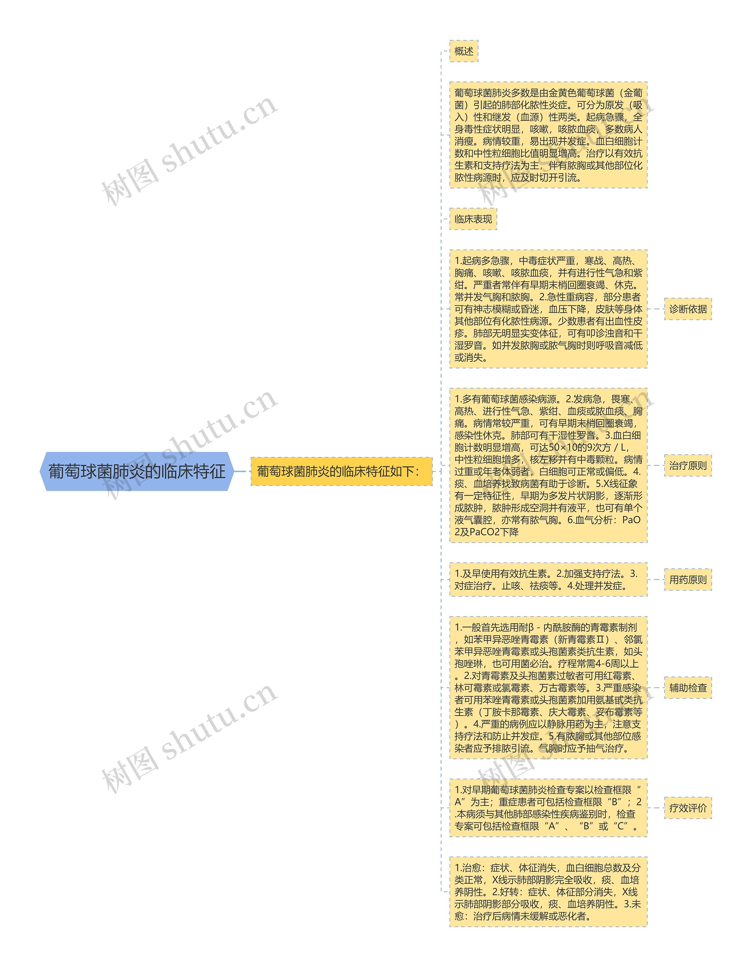 葡萄球菌肺炎的临床特征思维导图