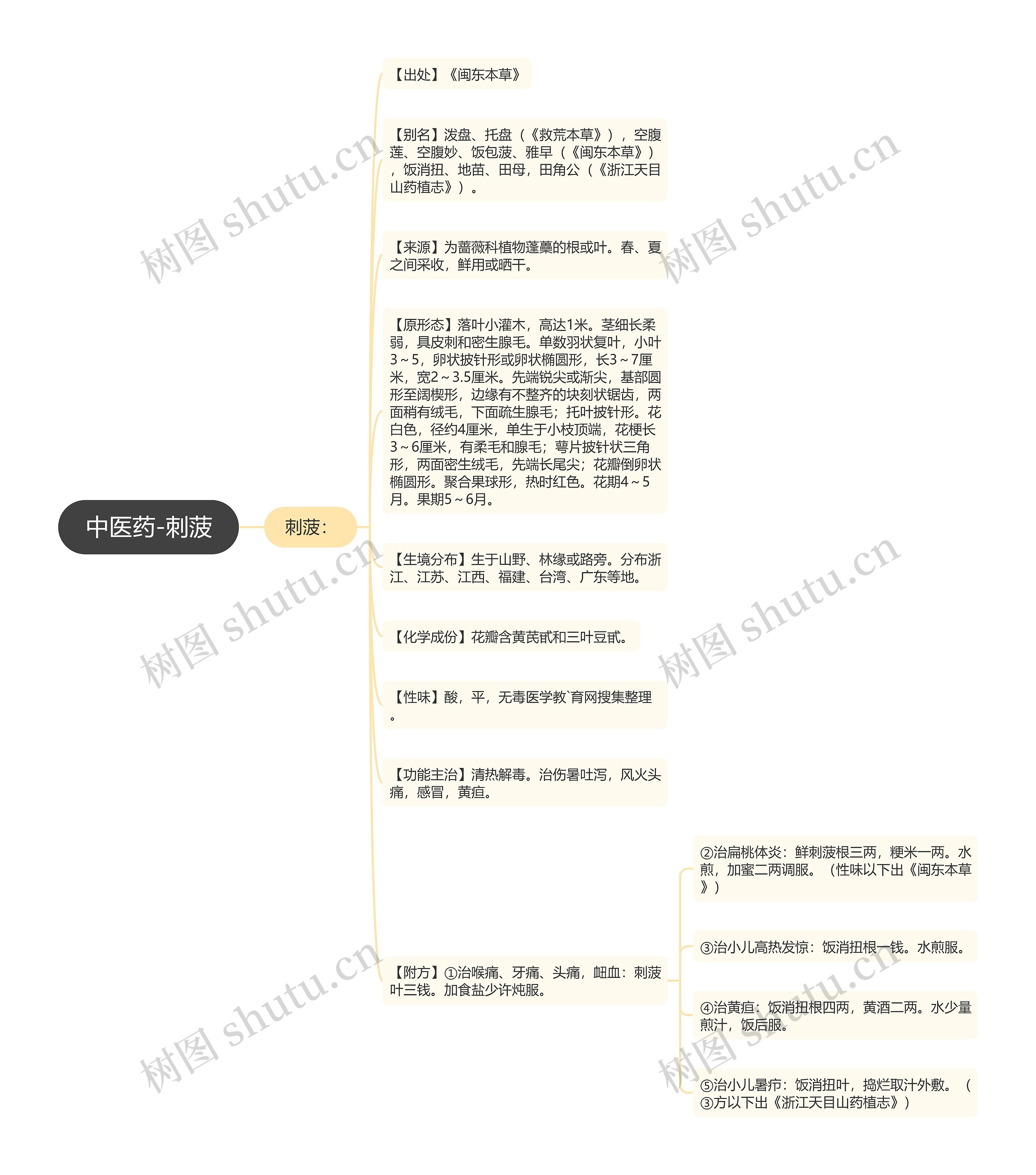 中医药-刺菠思维导图