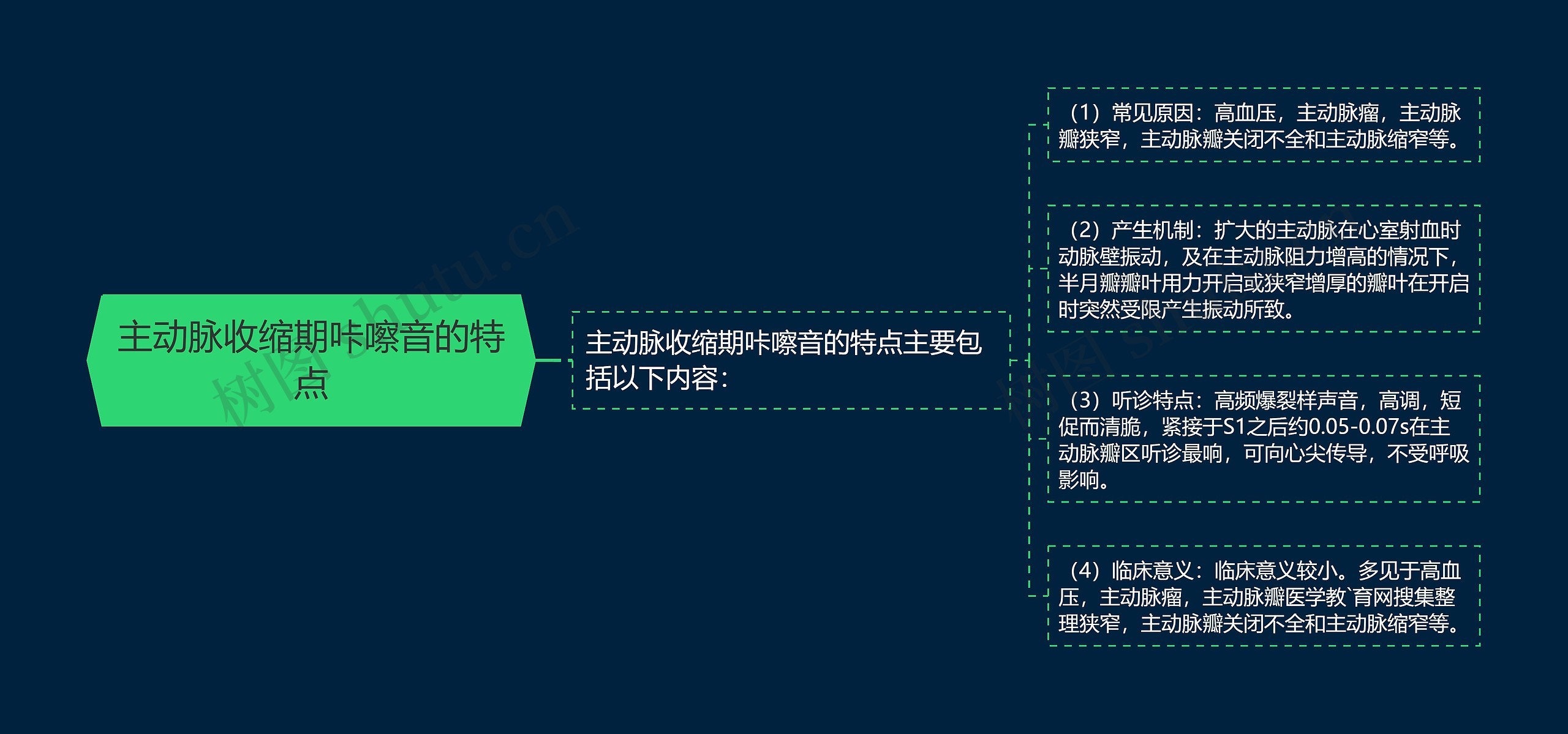 主动脉收缩期咔嚓音的特点思维导图