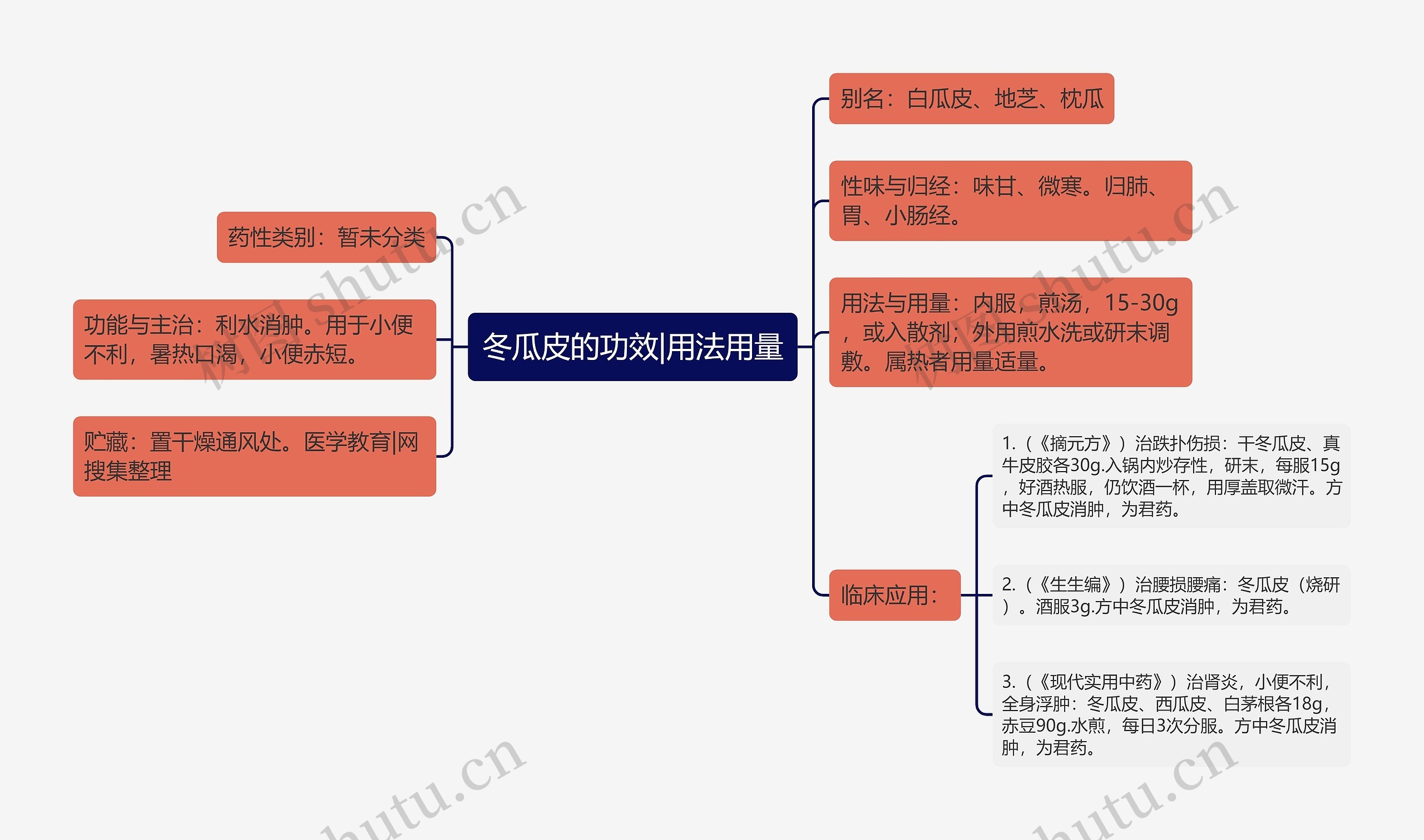 冬瓜皮的功效|用法用量思维导图