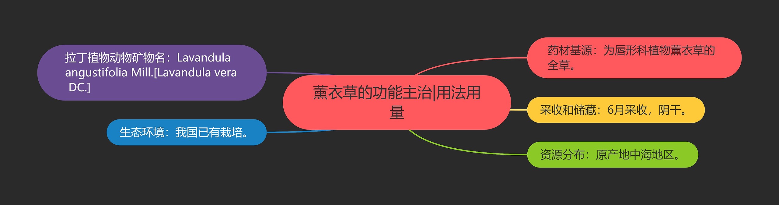 薰衣草的功能主治|用法用量 薰衣草的功能主治|用法用量