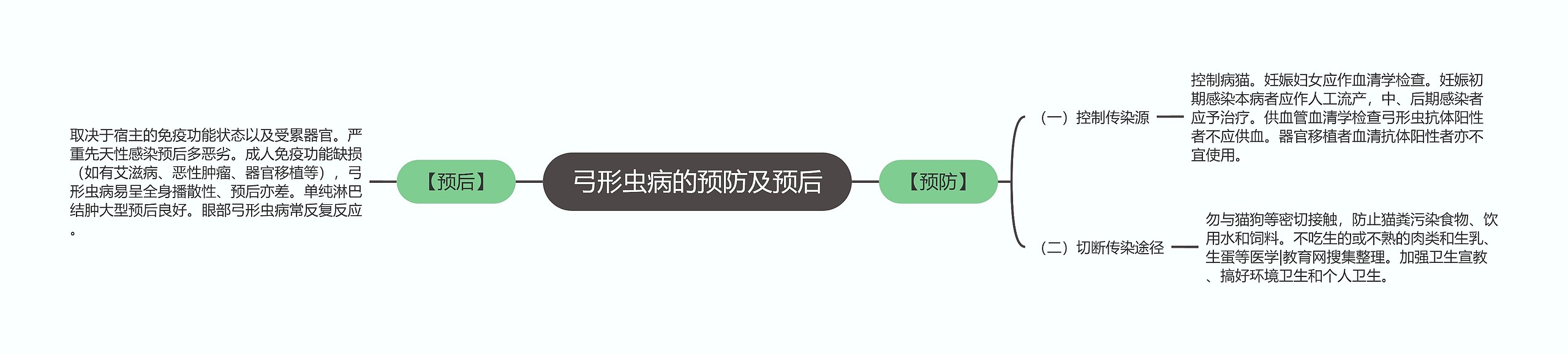 弓形虫病的预防及预后思维导图