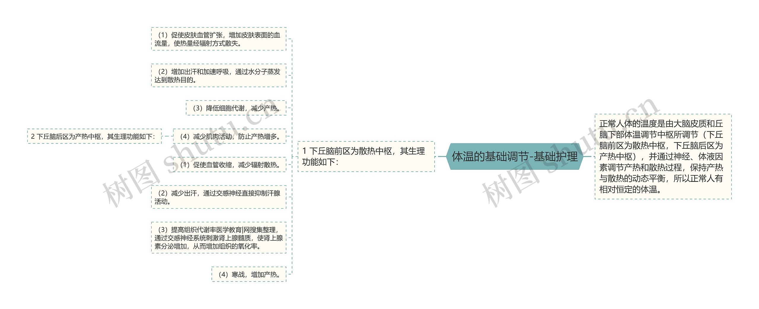 体温的基础调节-基础护理