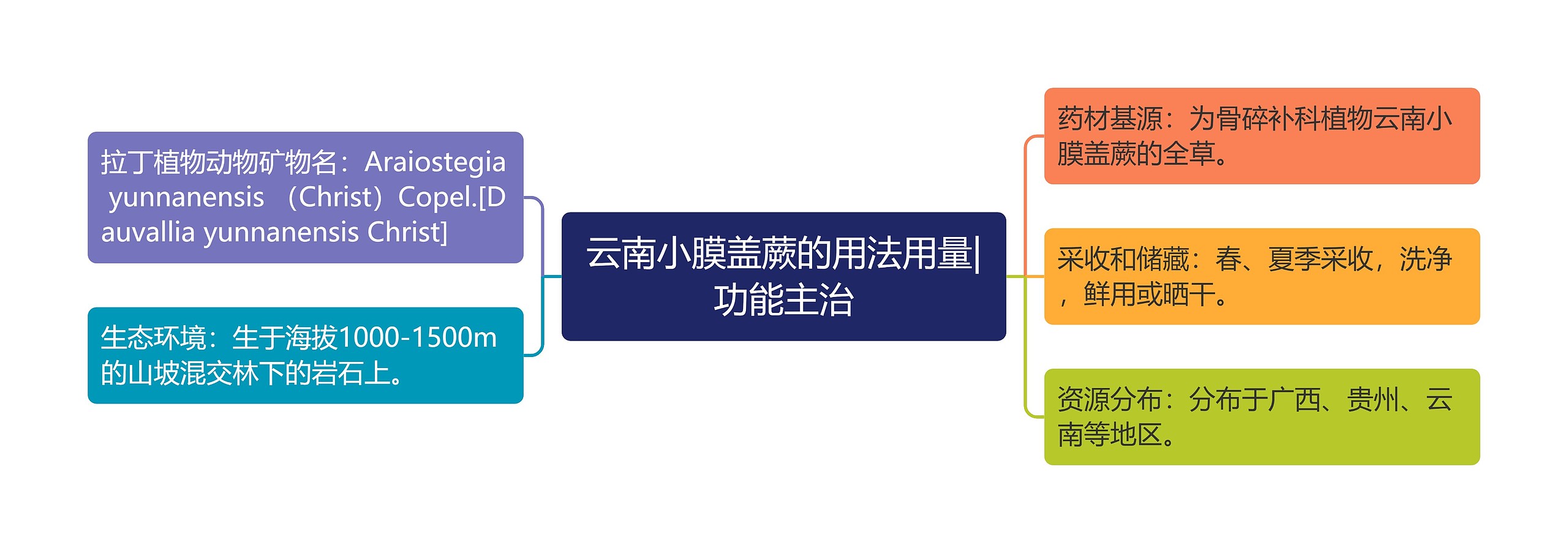云南小膜盖蕨的用法用量|功能主治 云南小膜盖蕨的用法用量|功能主治