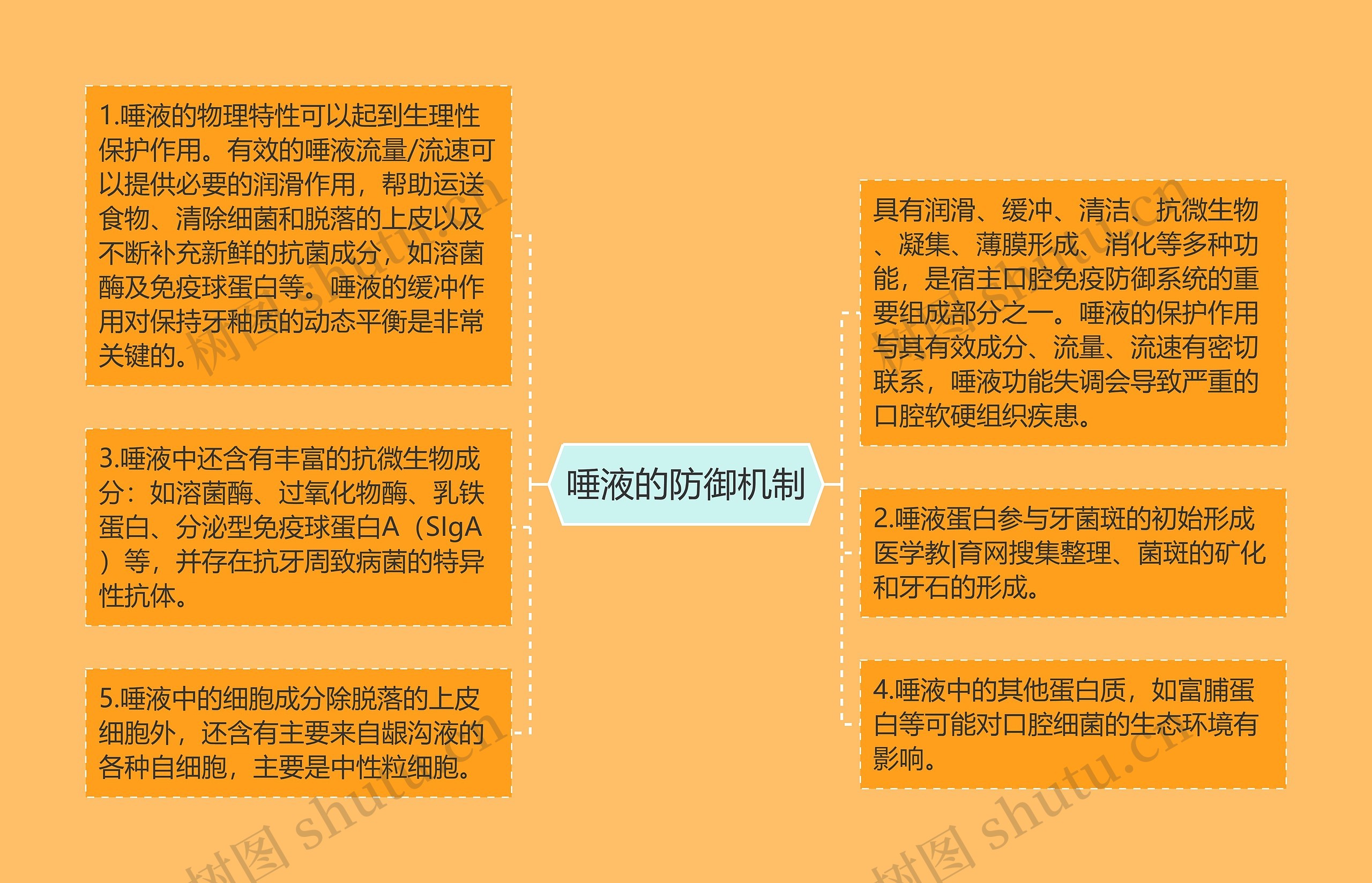 唾液的防御机制