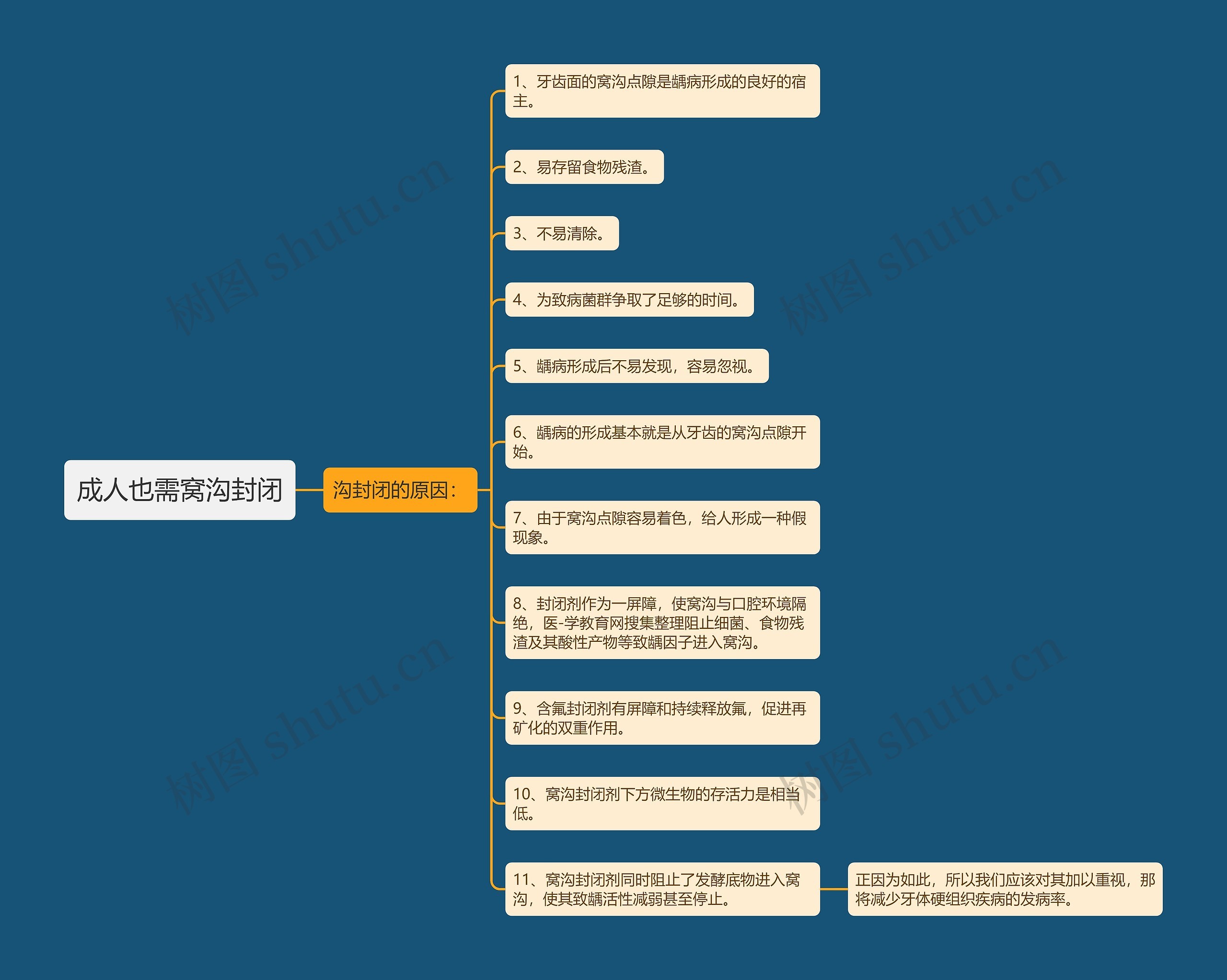 成人也需窝沟封闭思维导图