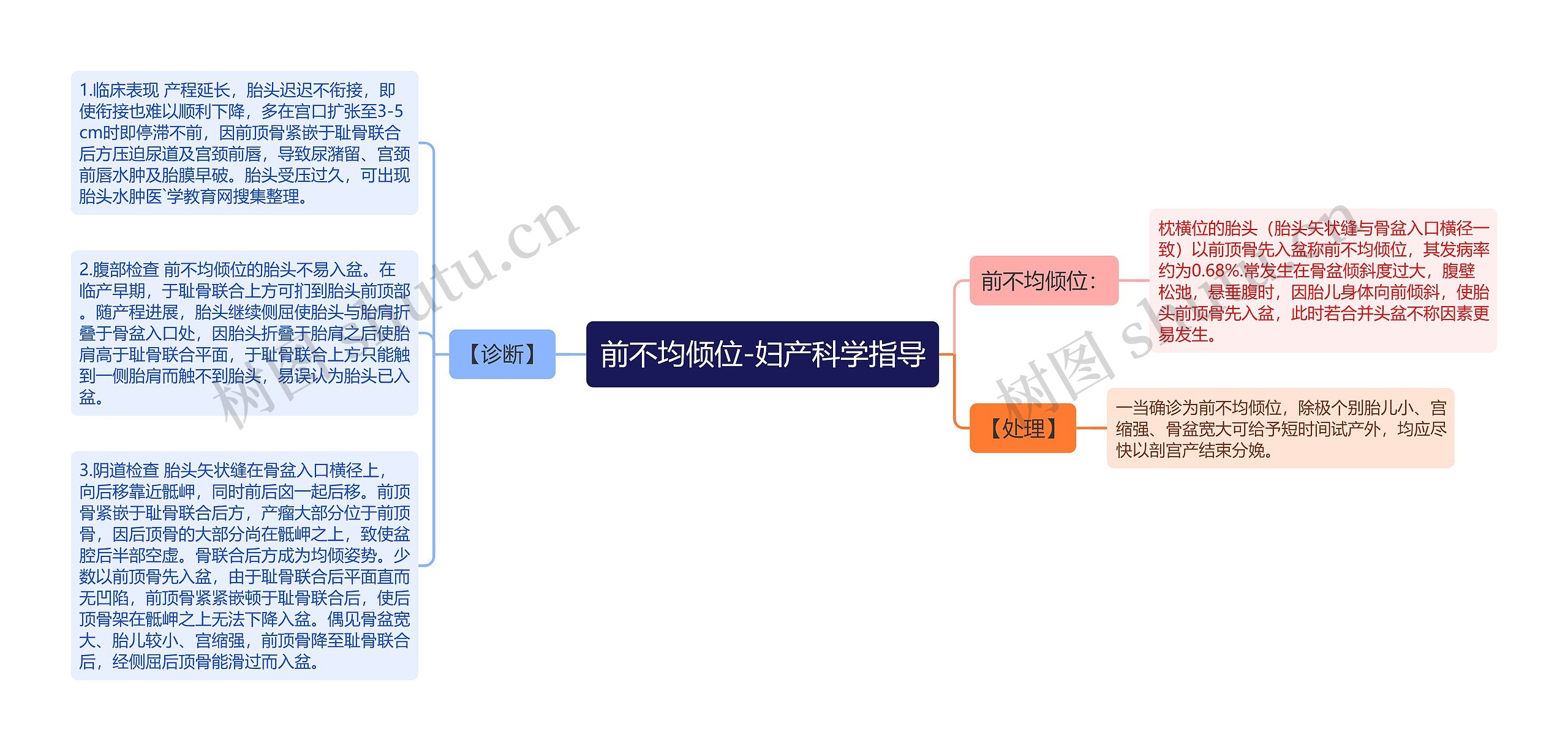 前不均倾位-妇产科学指导