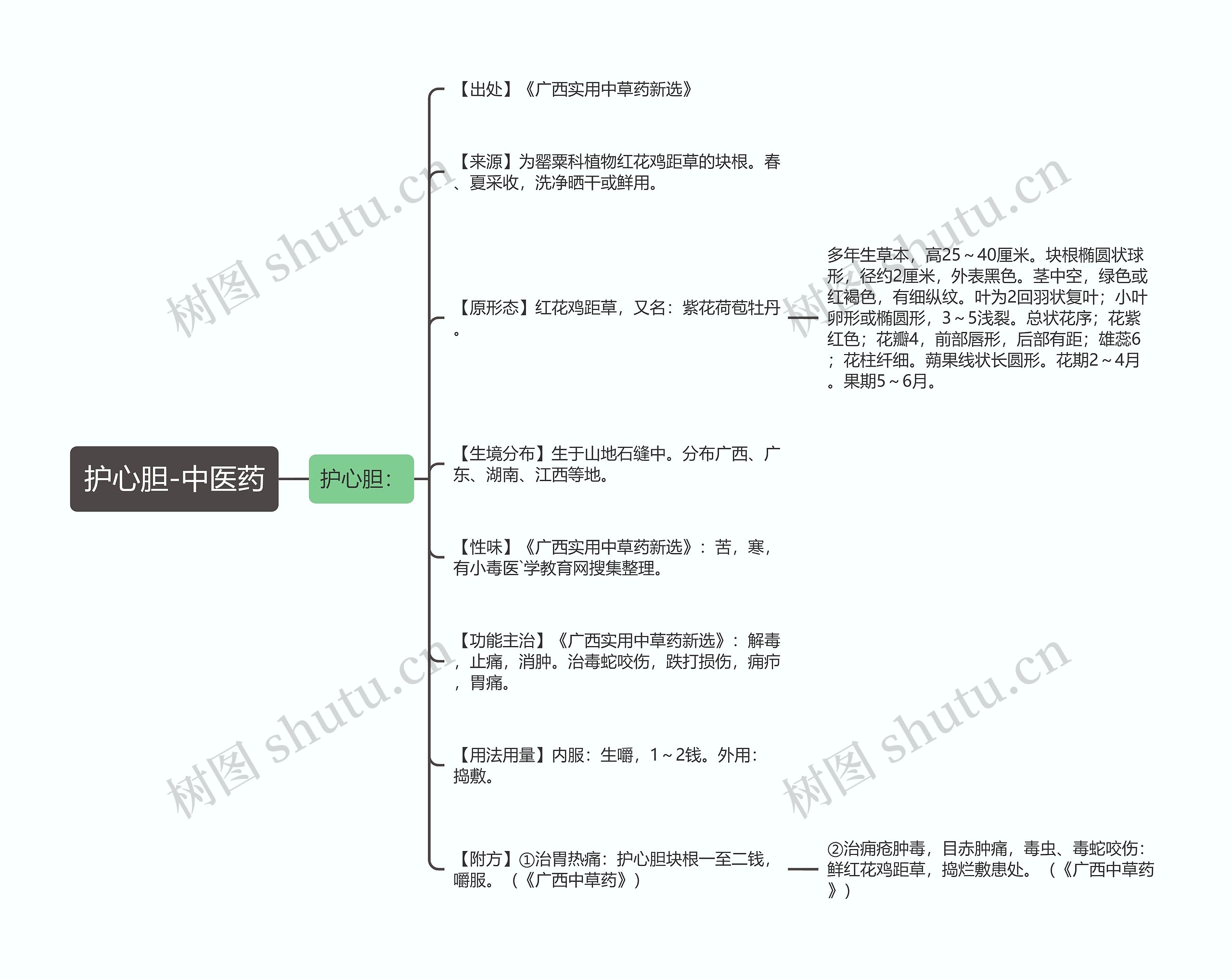 护心胆-中医药思维导图