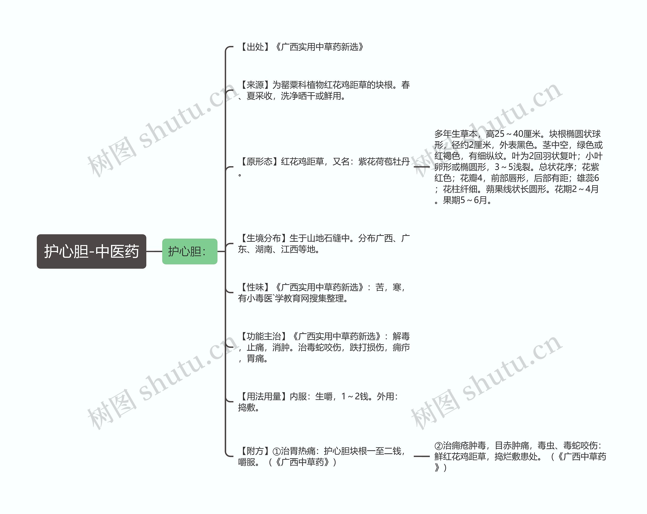 护心胆-中医药 护心胆-中医药