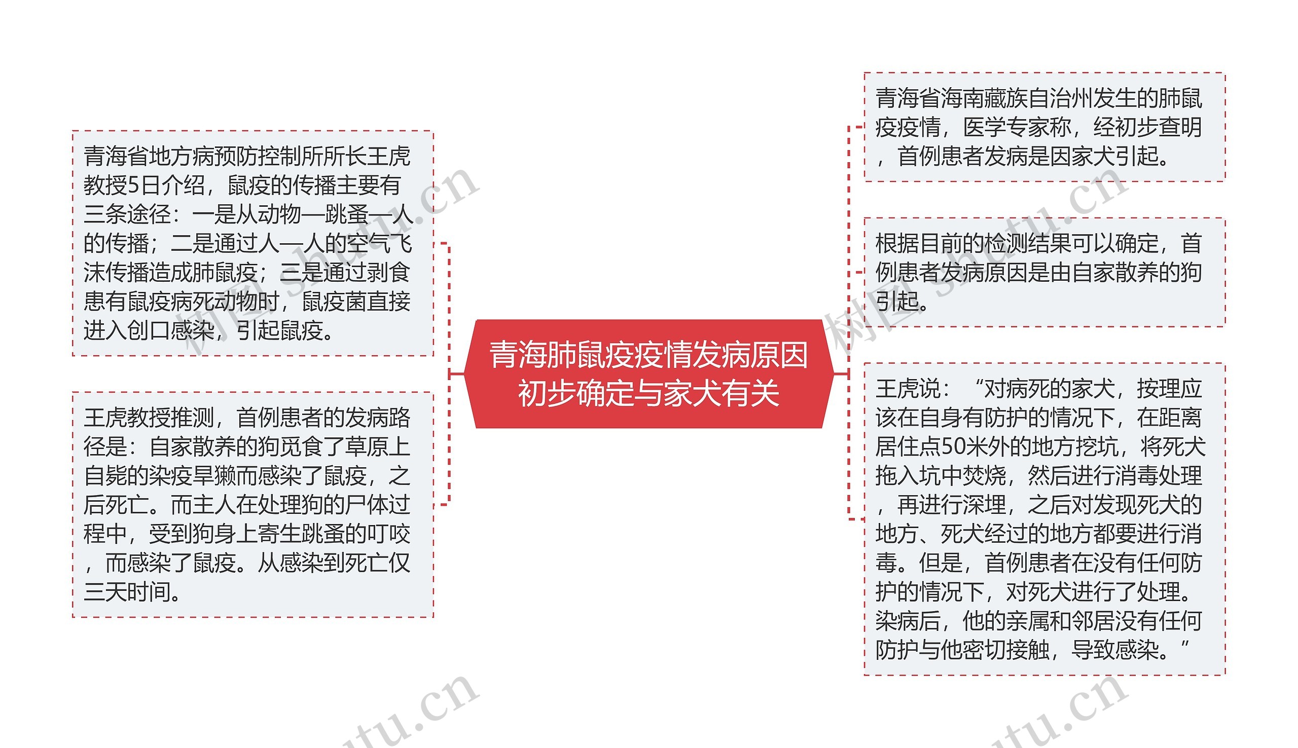 青海肺鼠疫疫情发病原因初步确定与家犬有关思维导图