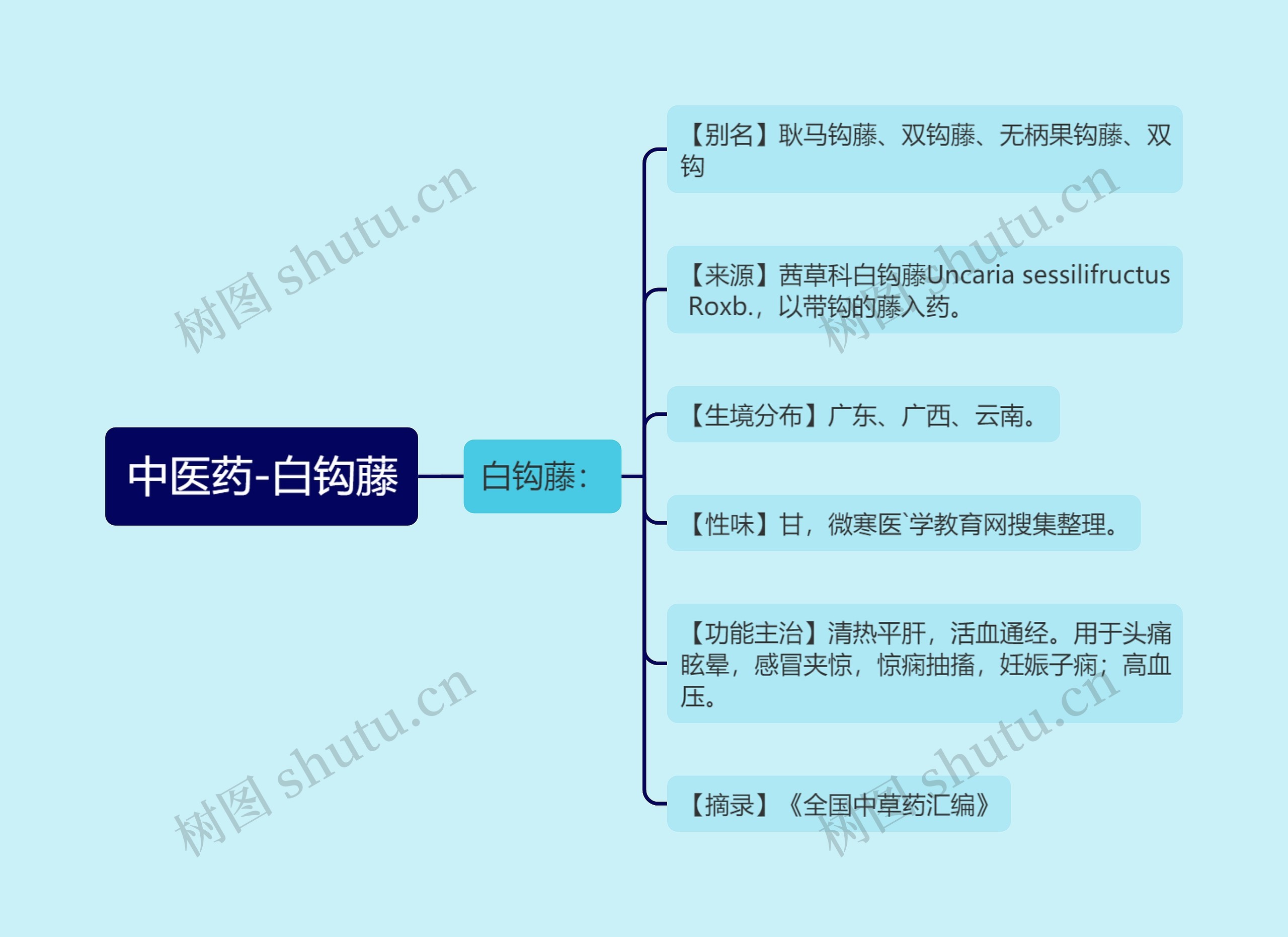 中医药-白钩藤 中医药-白钩藤