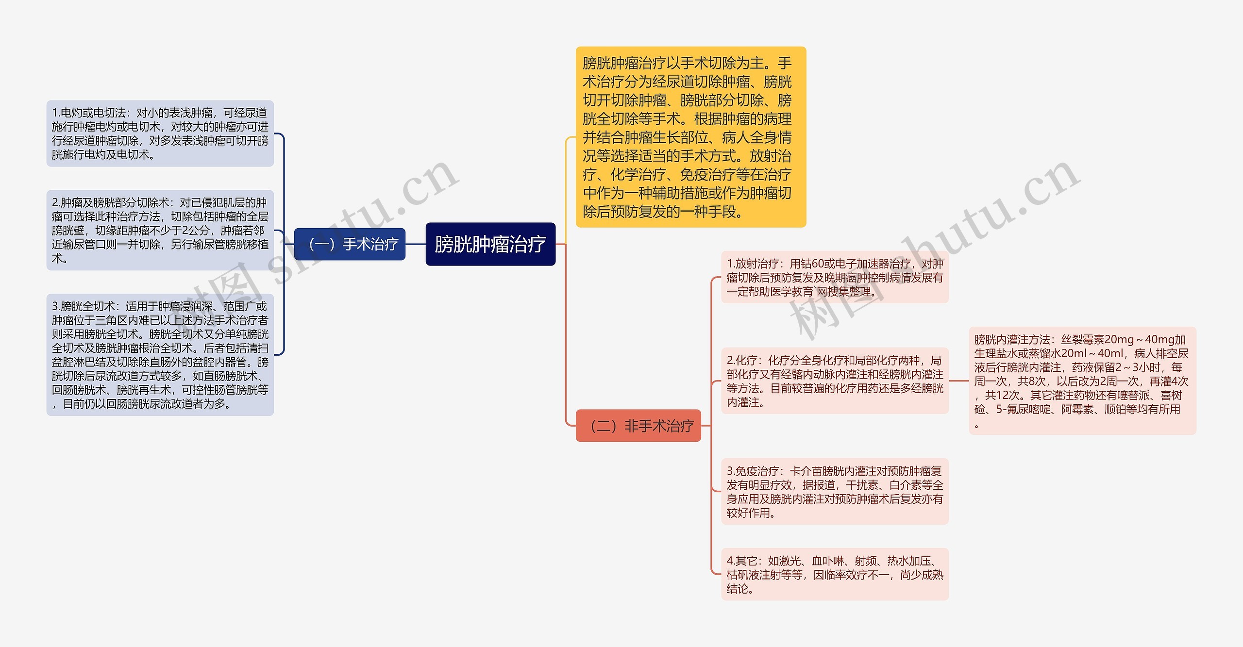 膀胱肿瘤治疗思维导图